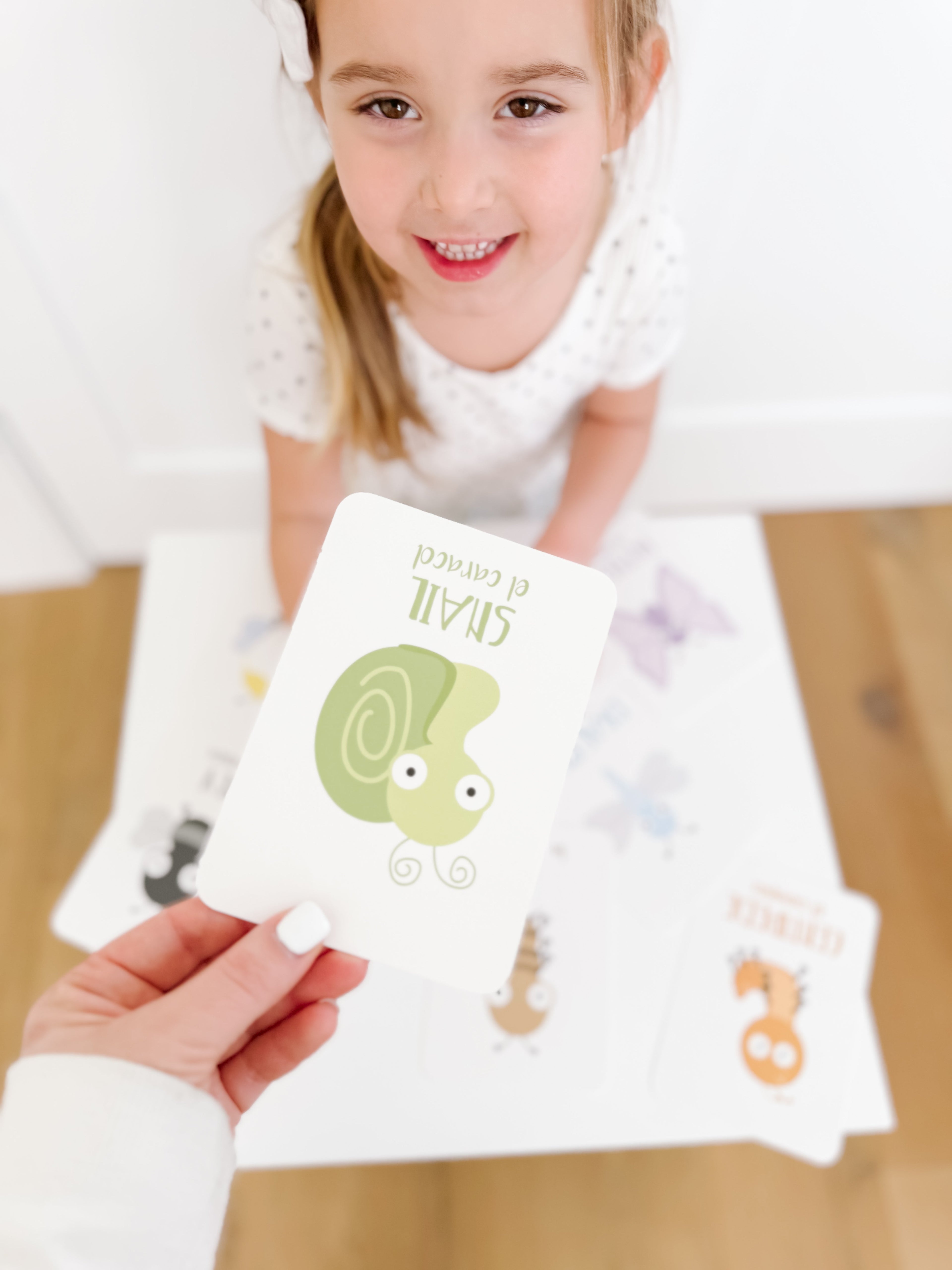 bugs-flashcards-Gift-Baby-Toys-24