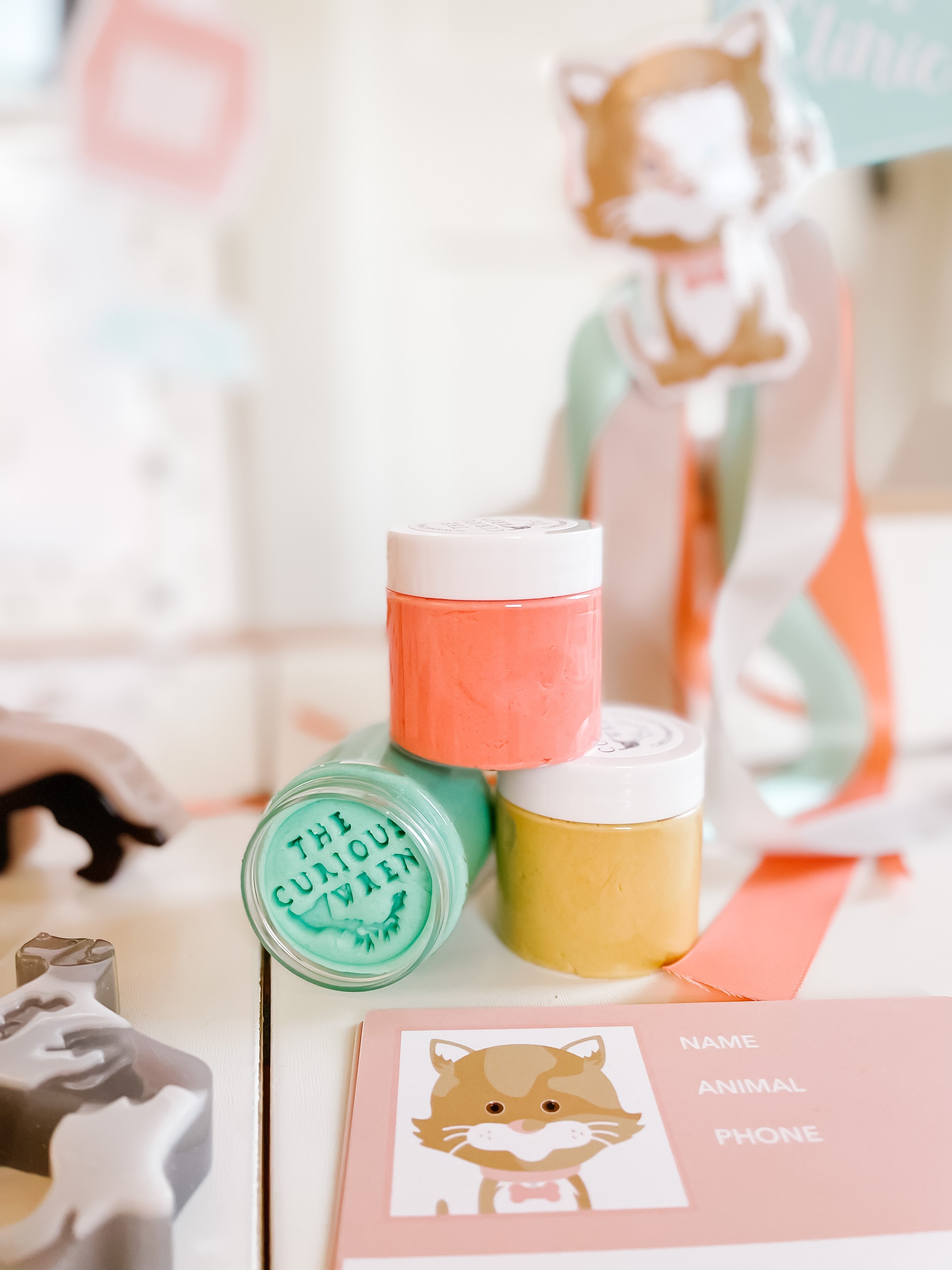 vet-clinic-dramatic-play-Gift-Baby-Toys-34