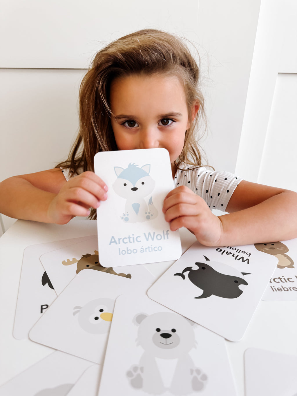arctic-animals-flashcards-Gift-Baby-Toys-3