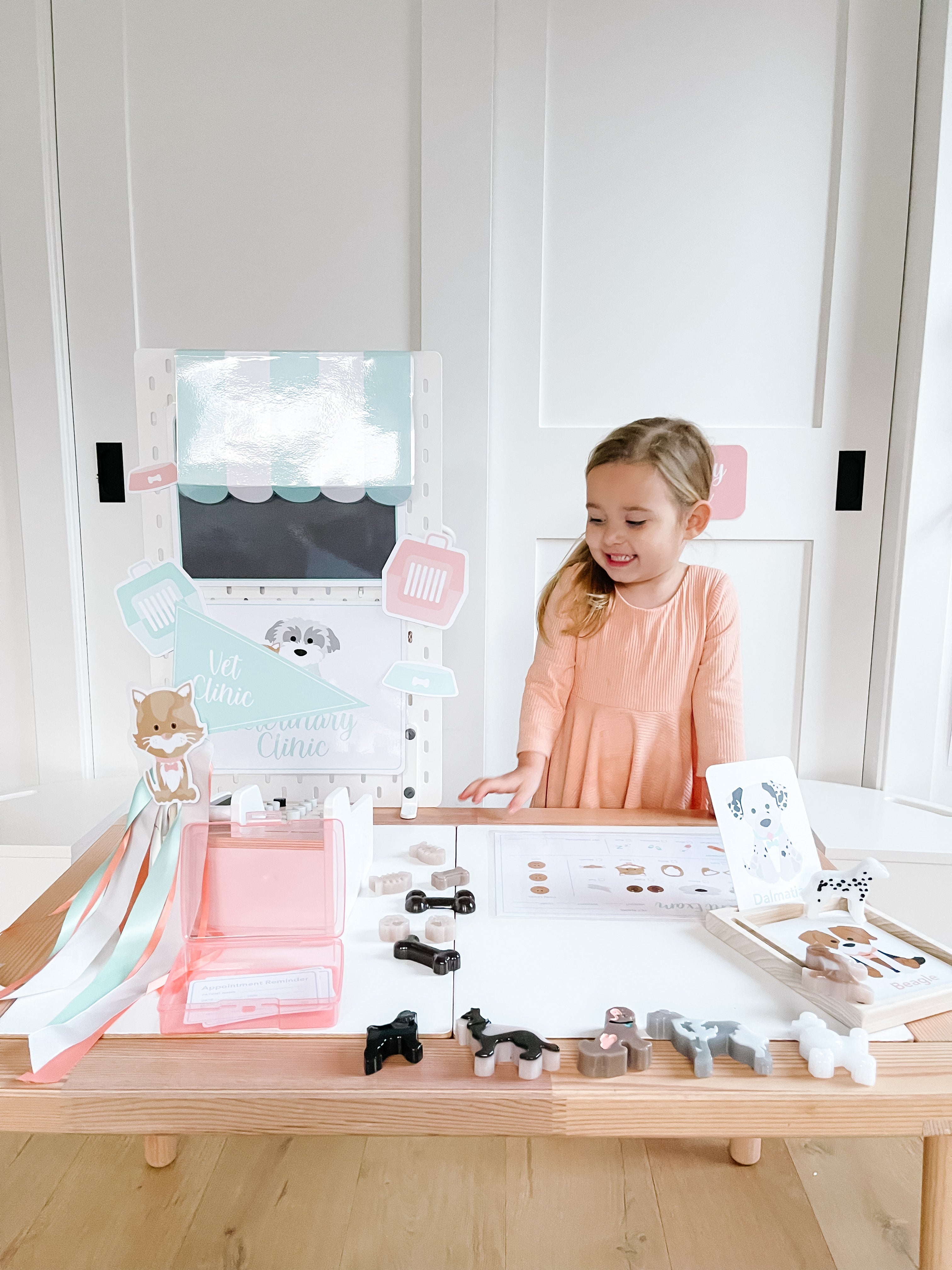 vet-clinic-dramatic-play-Gift-Baby-Toys-38