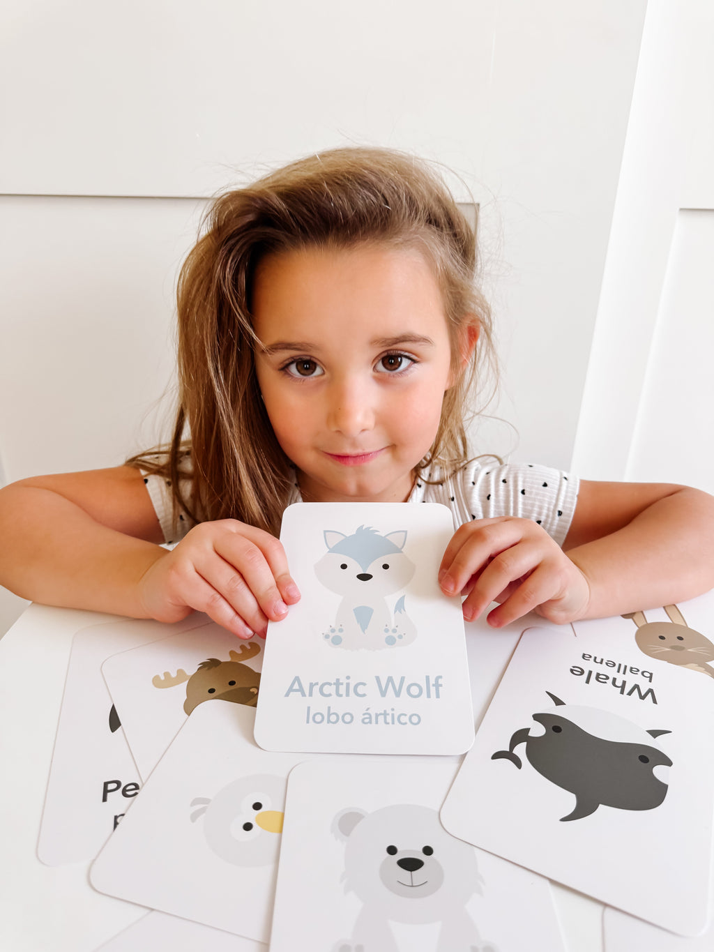 arctic-animals-flashcards-Gift-Baby-Toys-17