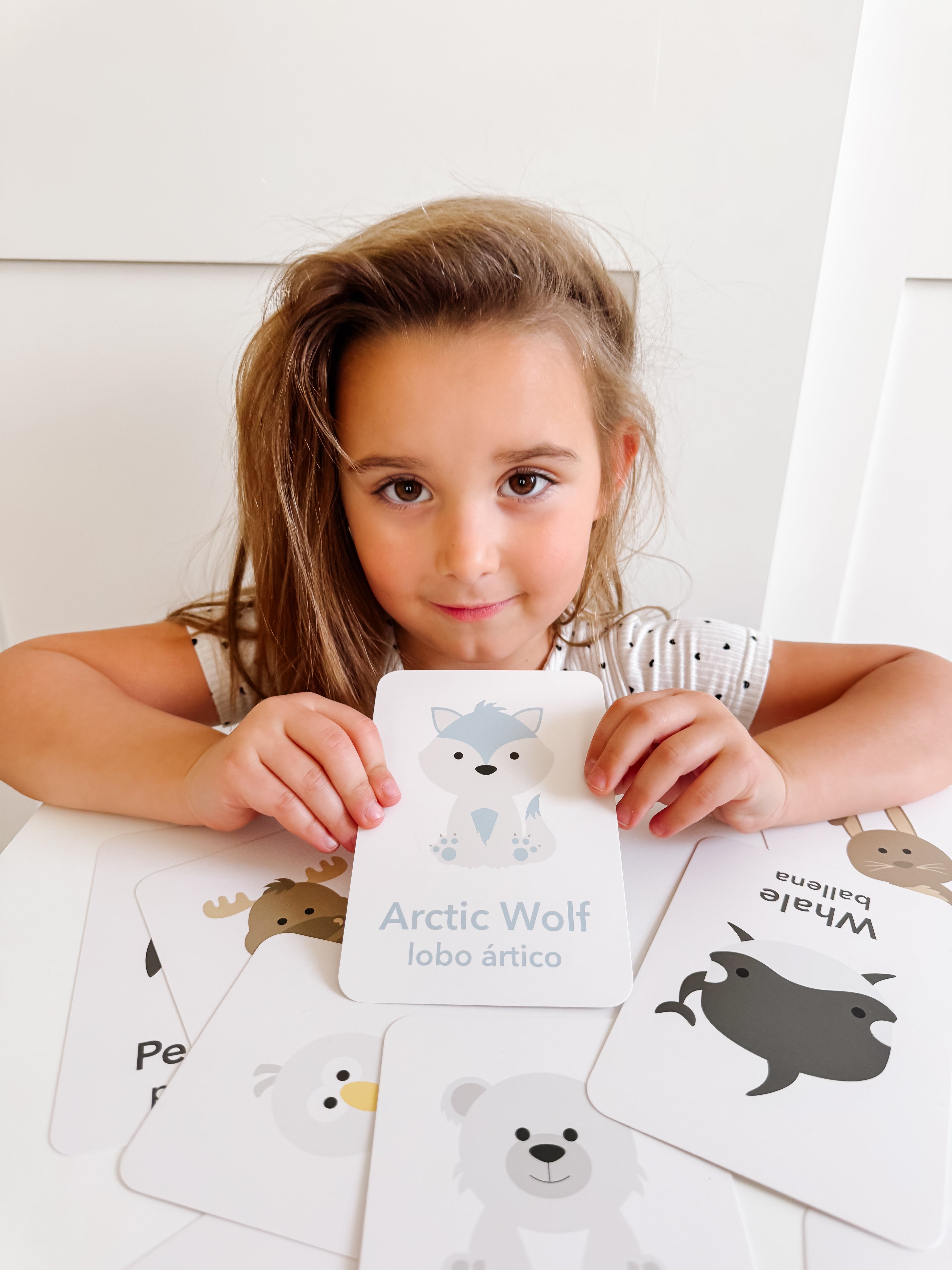 arctic-animals-flashcards-Gift-Baby-Toys-17