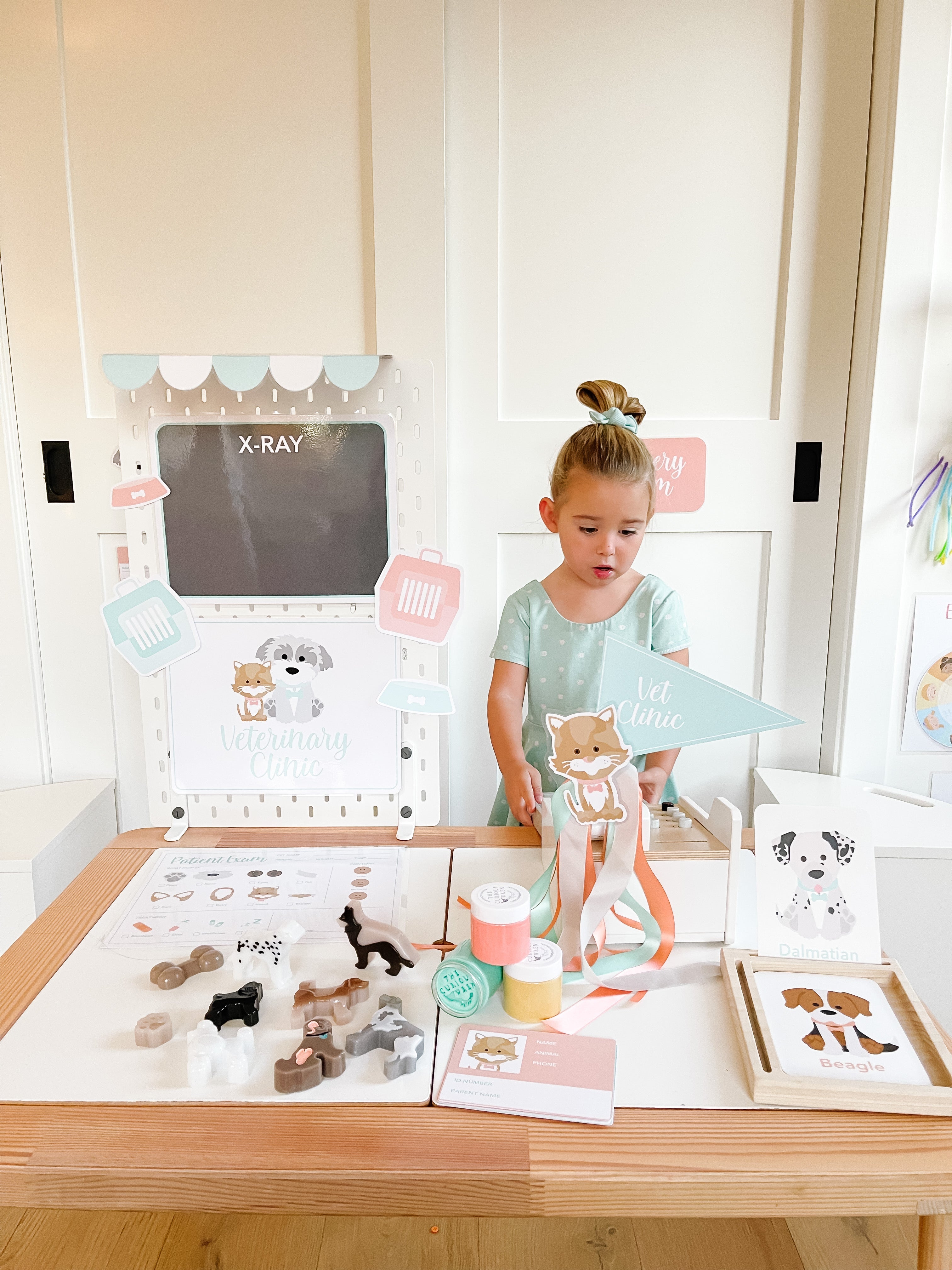 vet-clinic-dramatic-play-Gift-Baby-Toys-37