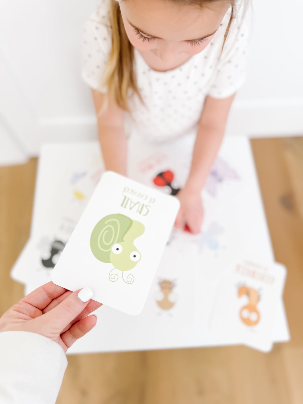 bugs-flashcards-Gift-Baby-Toys-23