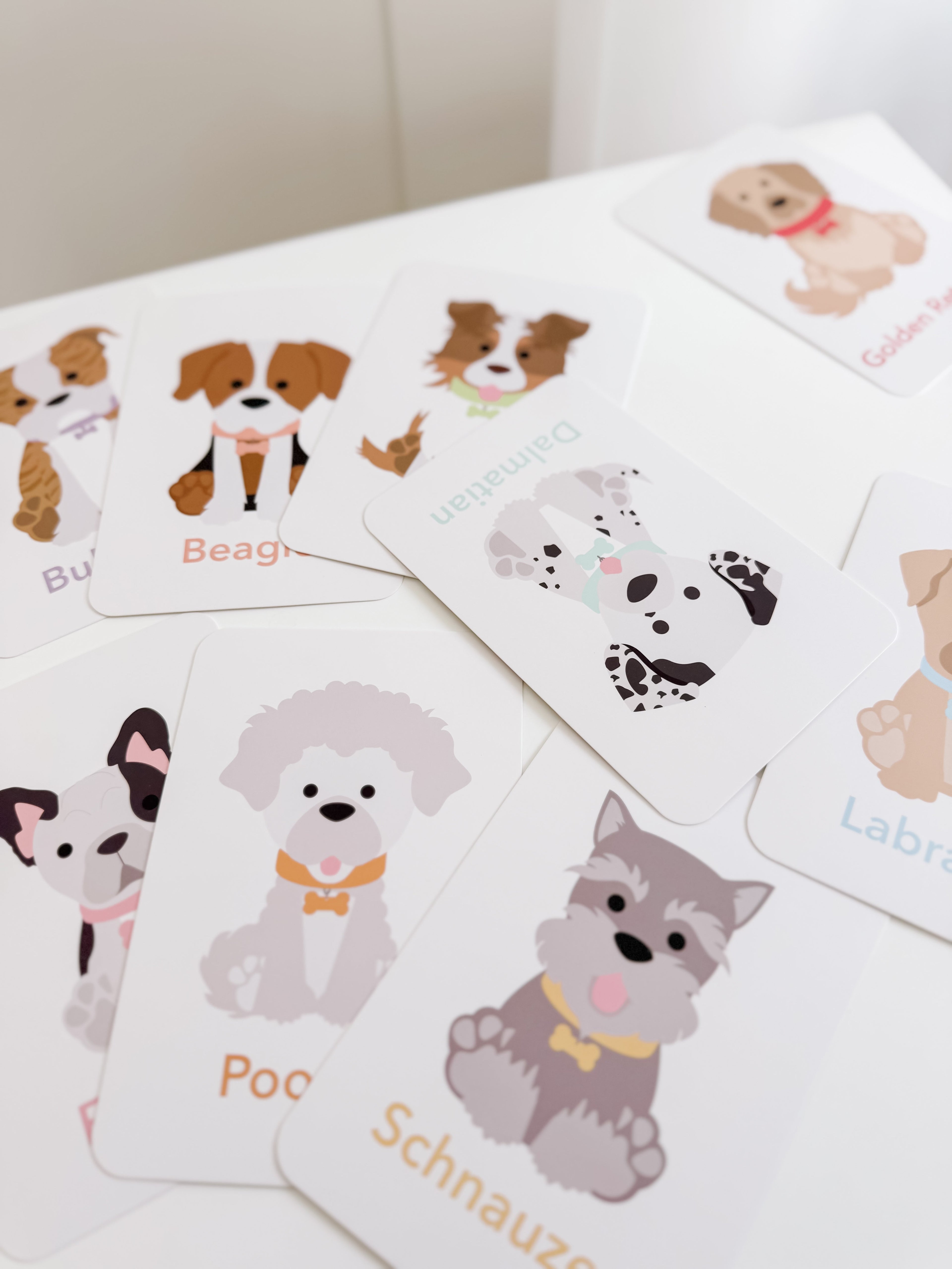 dog-breed-flash-cards-Gift-Baby-Toys-5