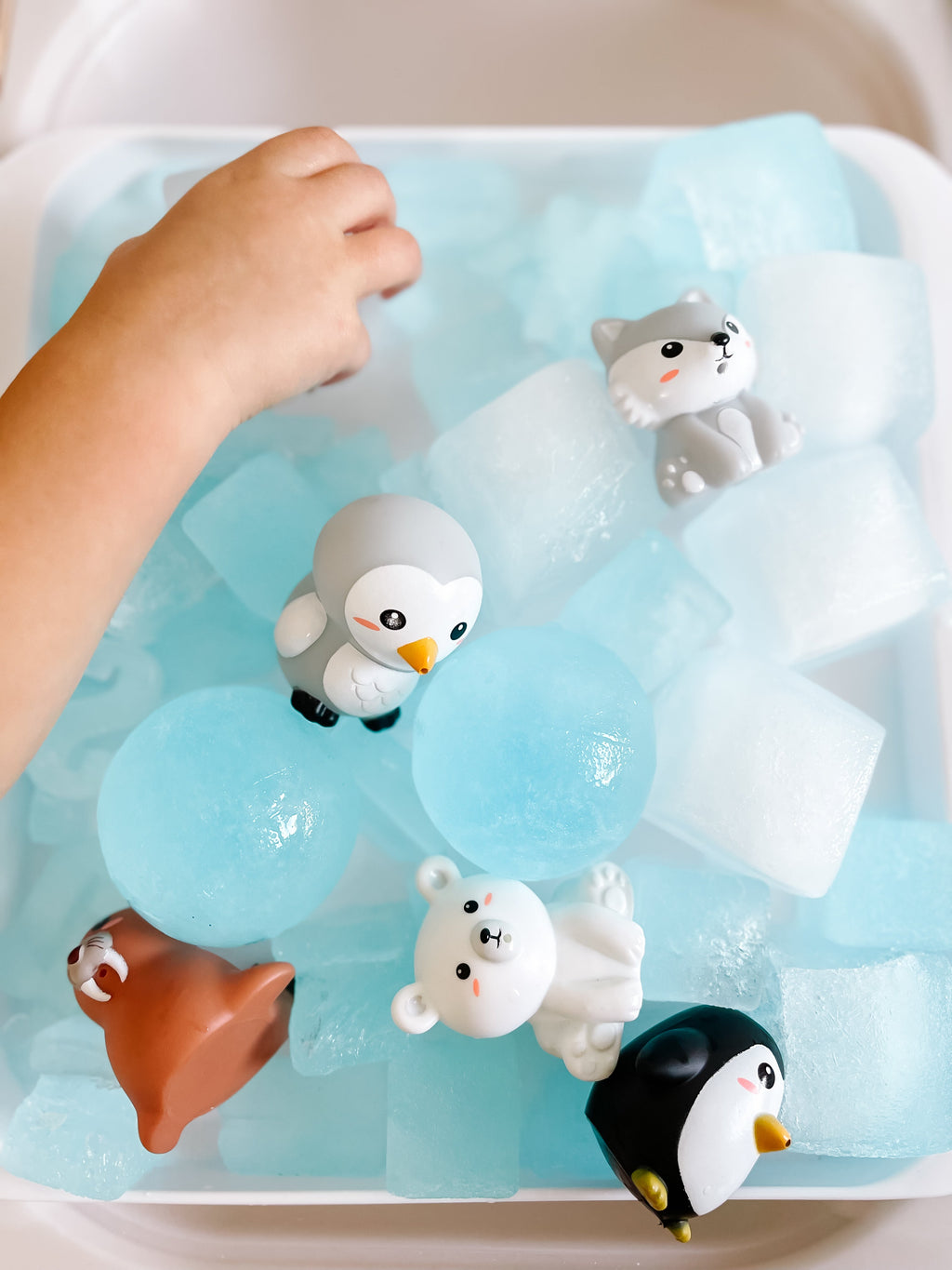 arctic-polar-animals-printable-dramatic-play-Gift-Baby-Toys-58