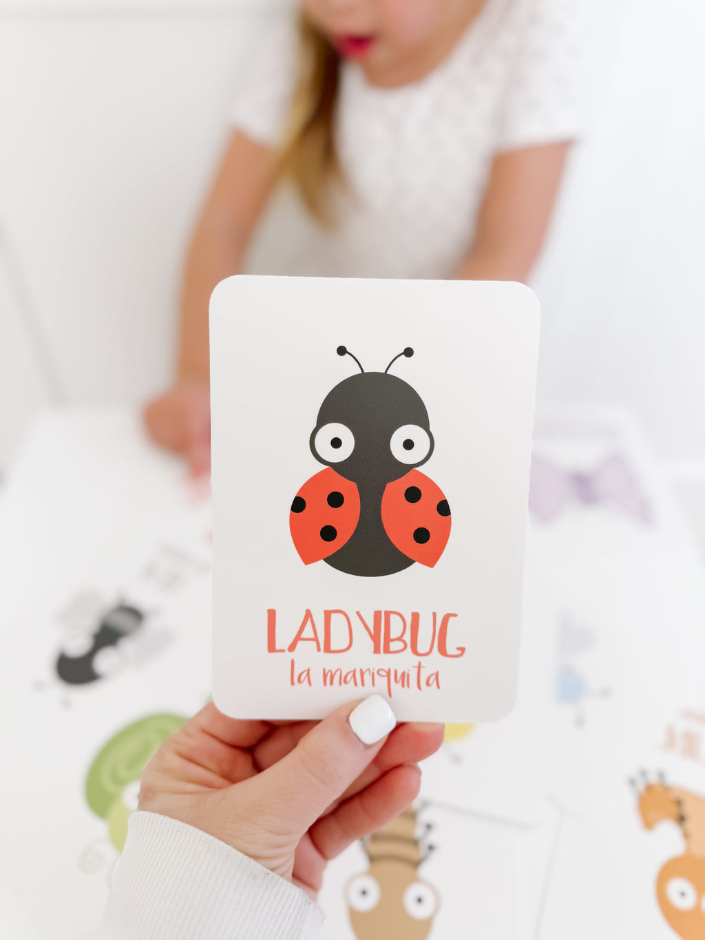 bugs-flashcards-Gift-Baby-Toys-14