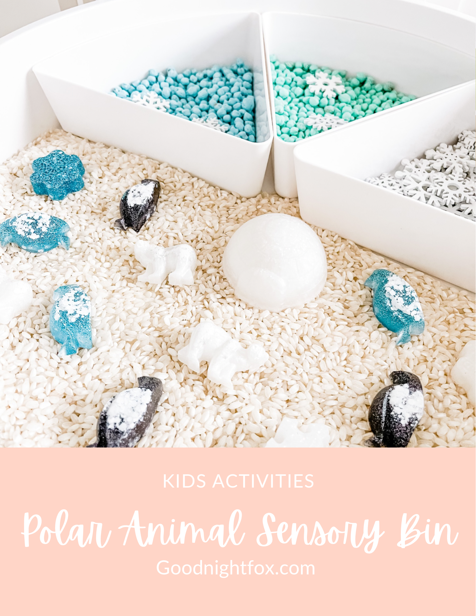 arctic-polar-animals-printable-dramatic-play-Gift-Baby-Toys-27