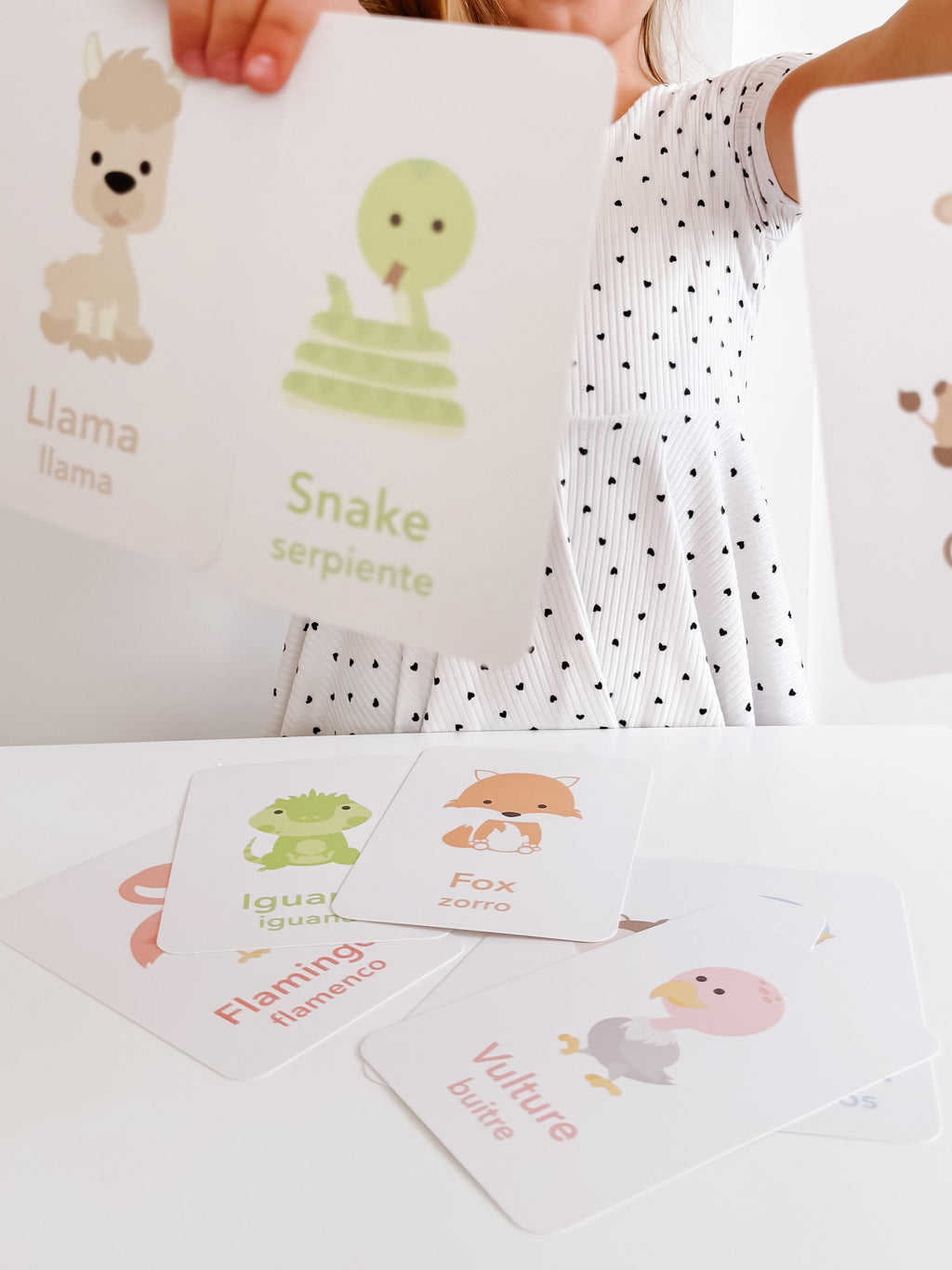 desert-animal-flashcards-Gift-Baby-Toys-9