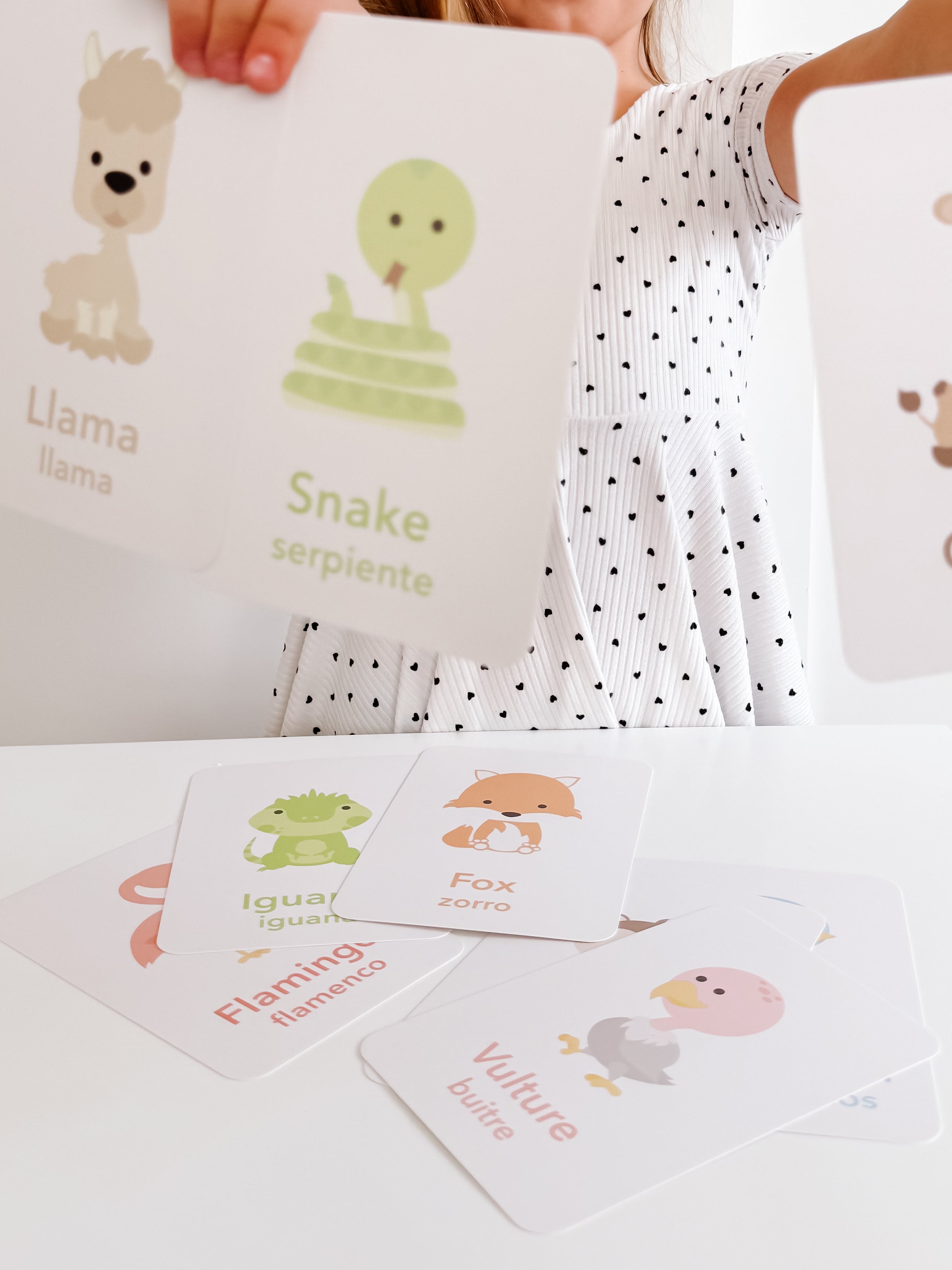 desert-animal-flashcards-Gift-Baby-Toys-9