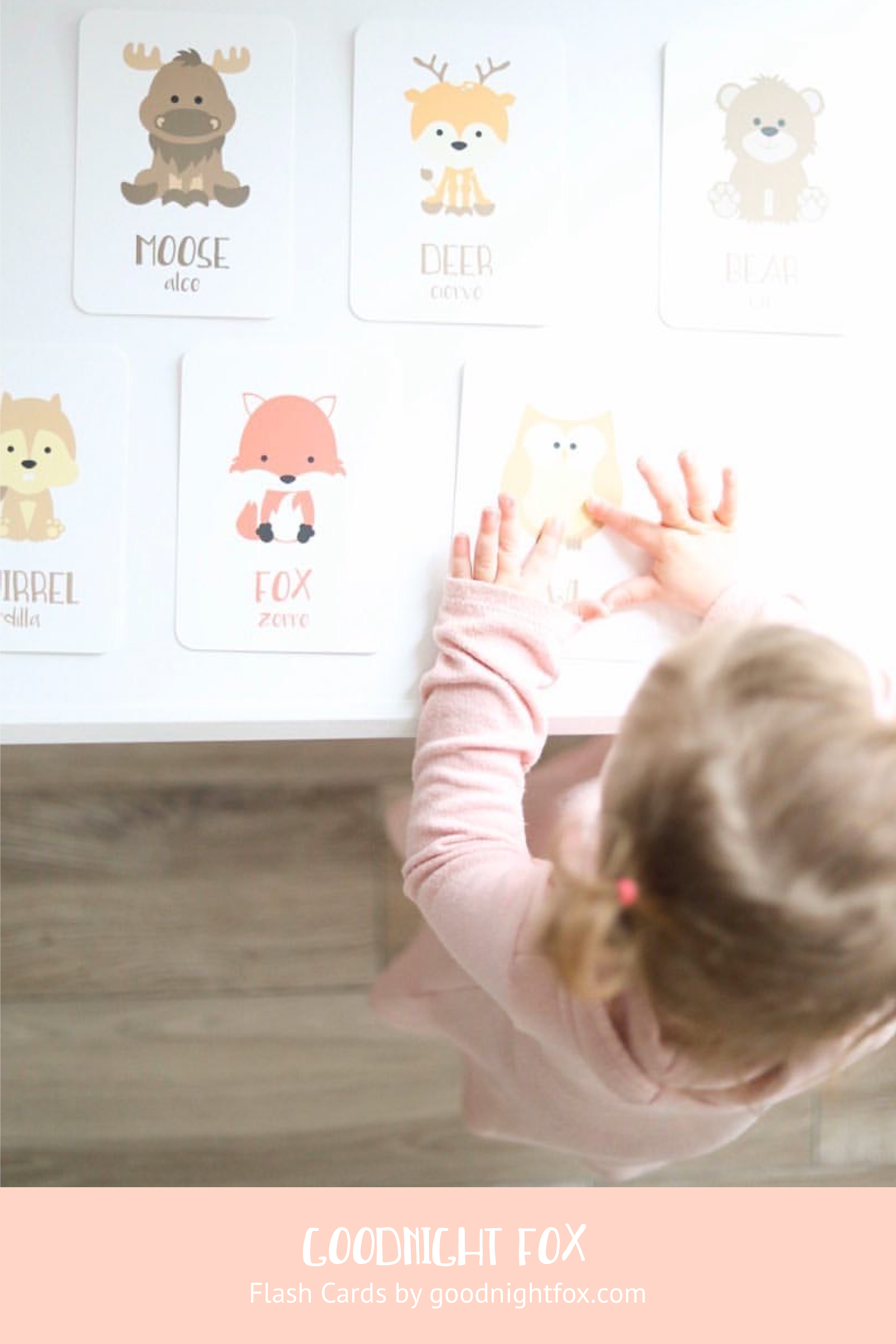 woodland-animal-flashcards-Gift-Baby-Toys-3