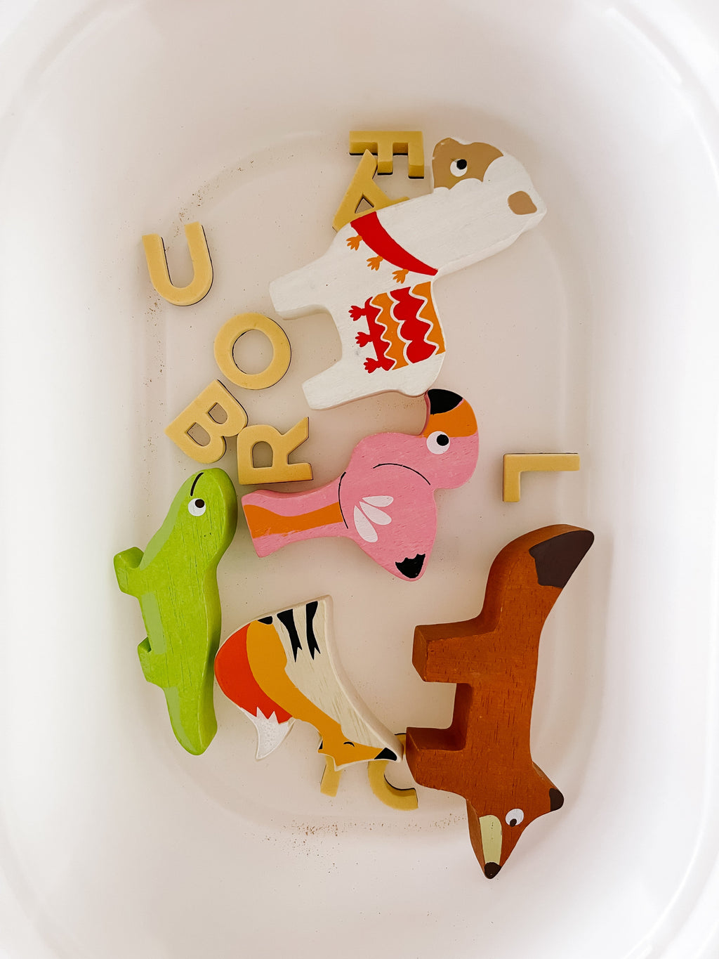 desert-animals-printable-dramatic-play-kit-Gift-Baby-Toys-4