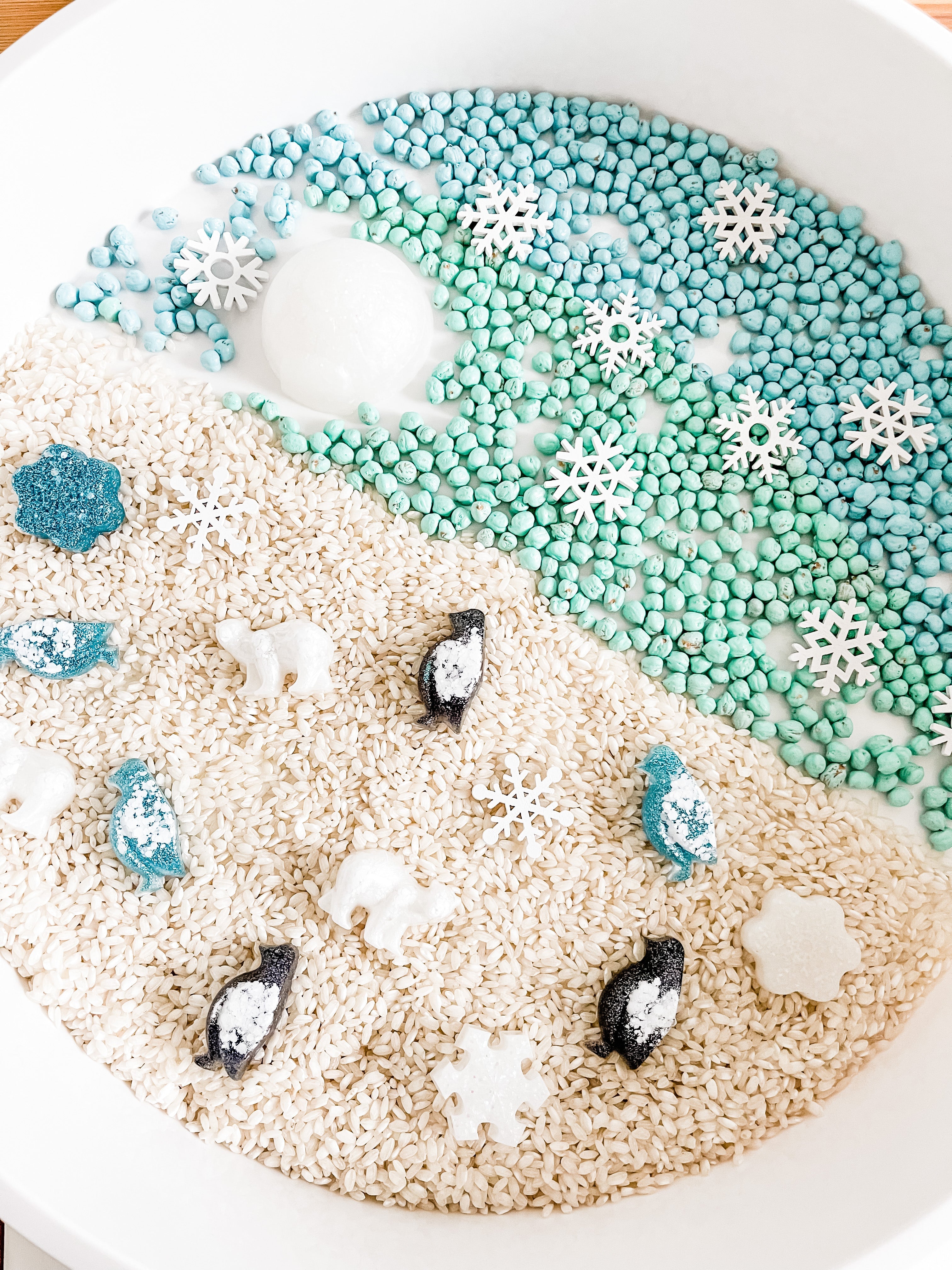 arctic-polar-animals-printable-dramatic-play-Gift-Baby-Toys-20