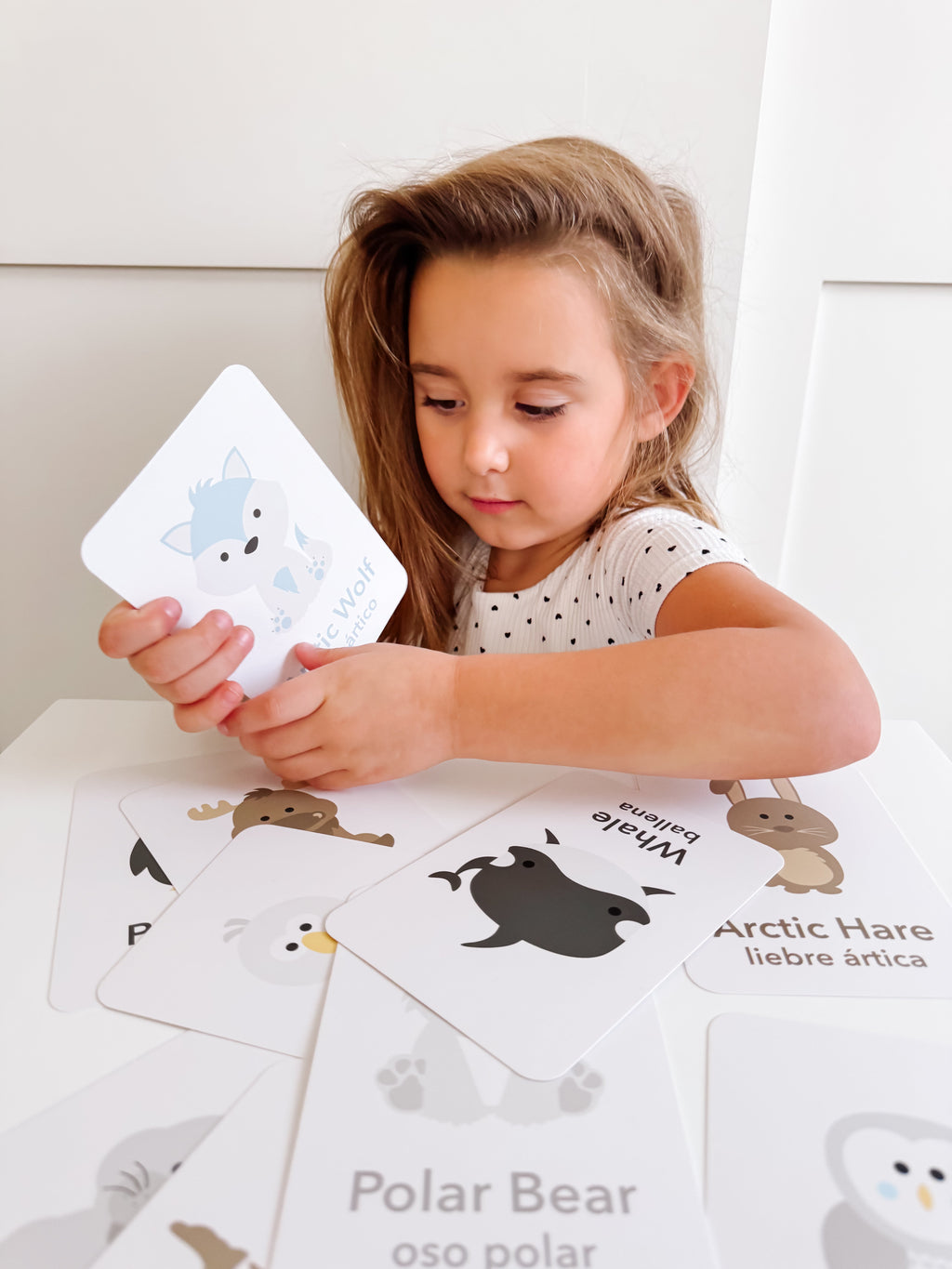 arctic-animals-flashcards-Gift-Baby-Toys-19
