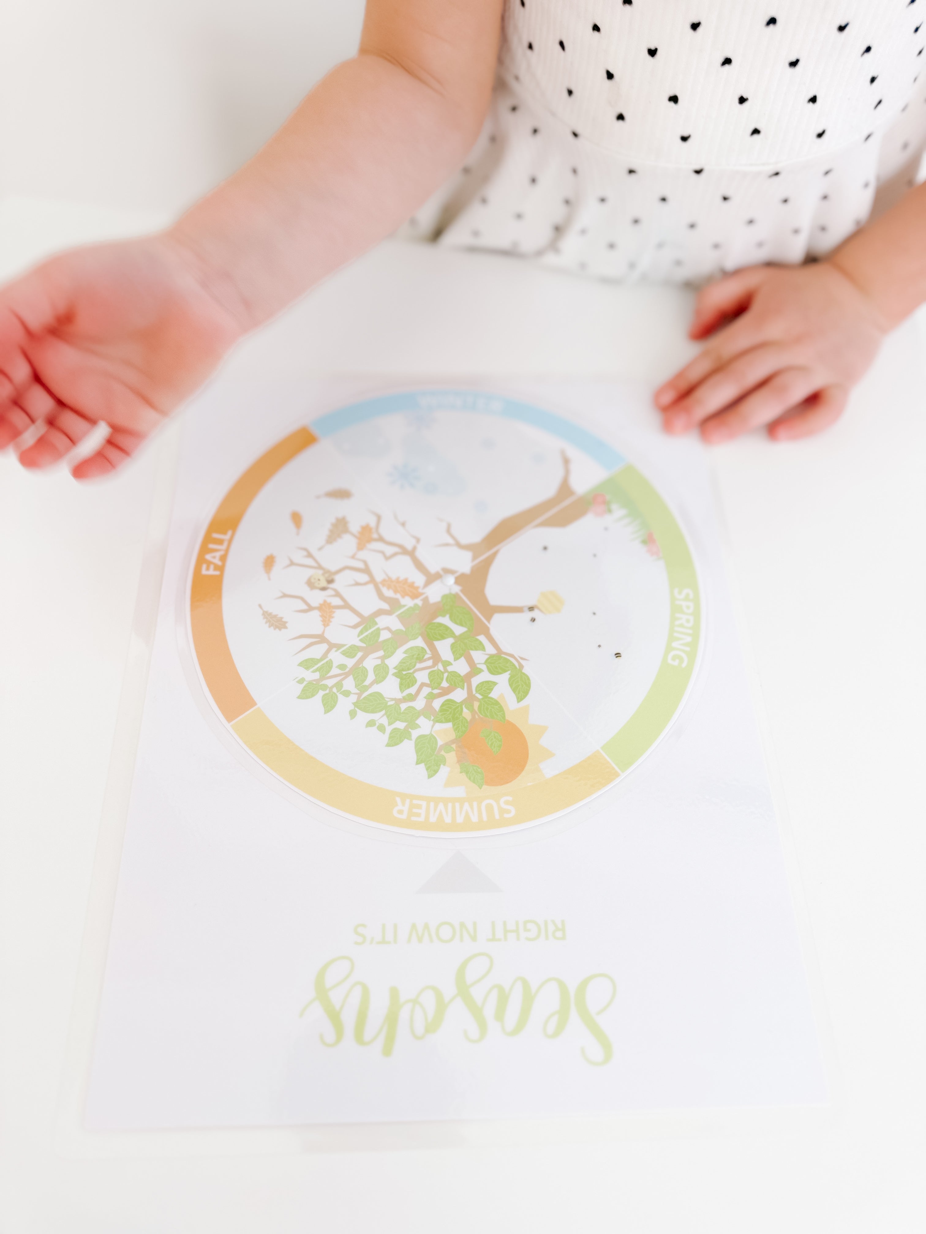 learning-wheel-spinner-printable-dramatic-play-Gift-Baby-Toys-21