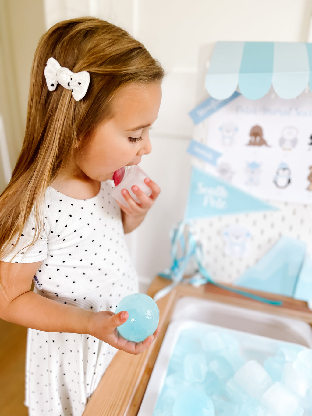 arctic-polar-animals-printable-dramatic-play-Gift-Baby-Toys-34