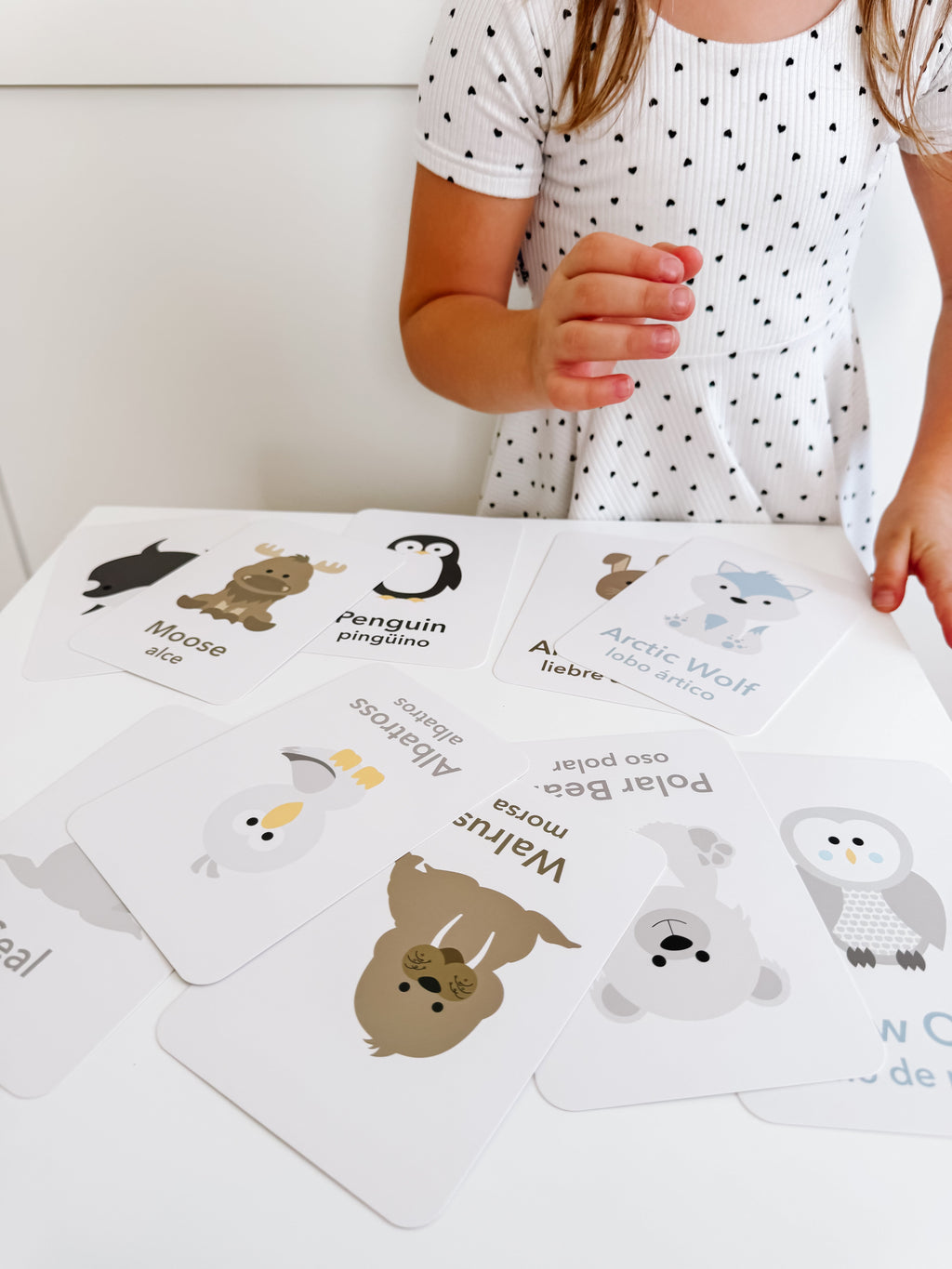 arctic-animals-flashcards-Gift-Baby-Toys-4