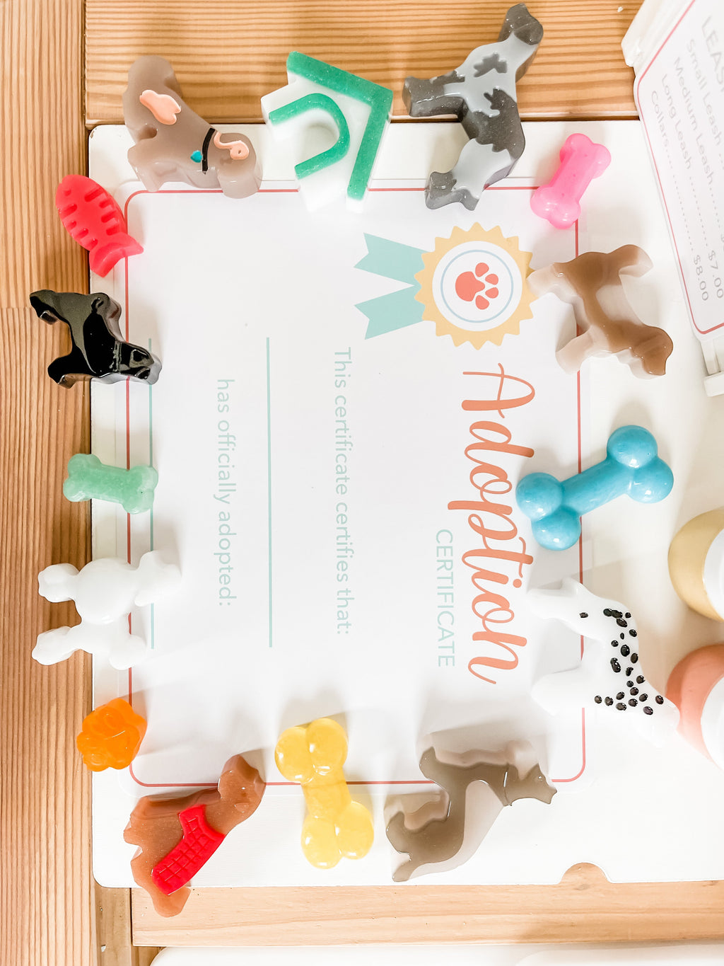 pet-adoption-clinic-dramatic-play-Gift-Baby-Toys-15