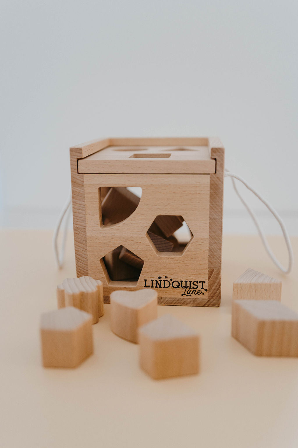 solid-wood-intelligence-shape-sorting-box-Gift-Baby-ToysEducational Toys-1