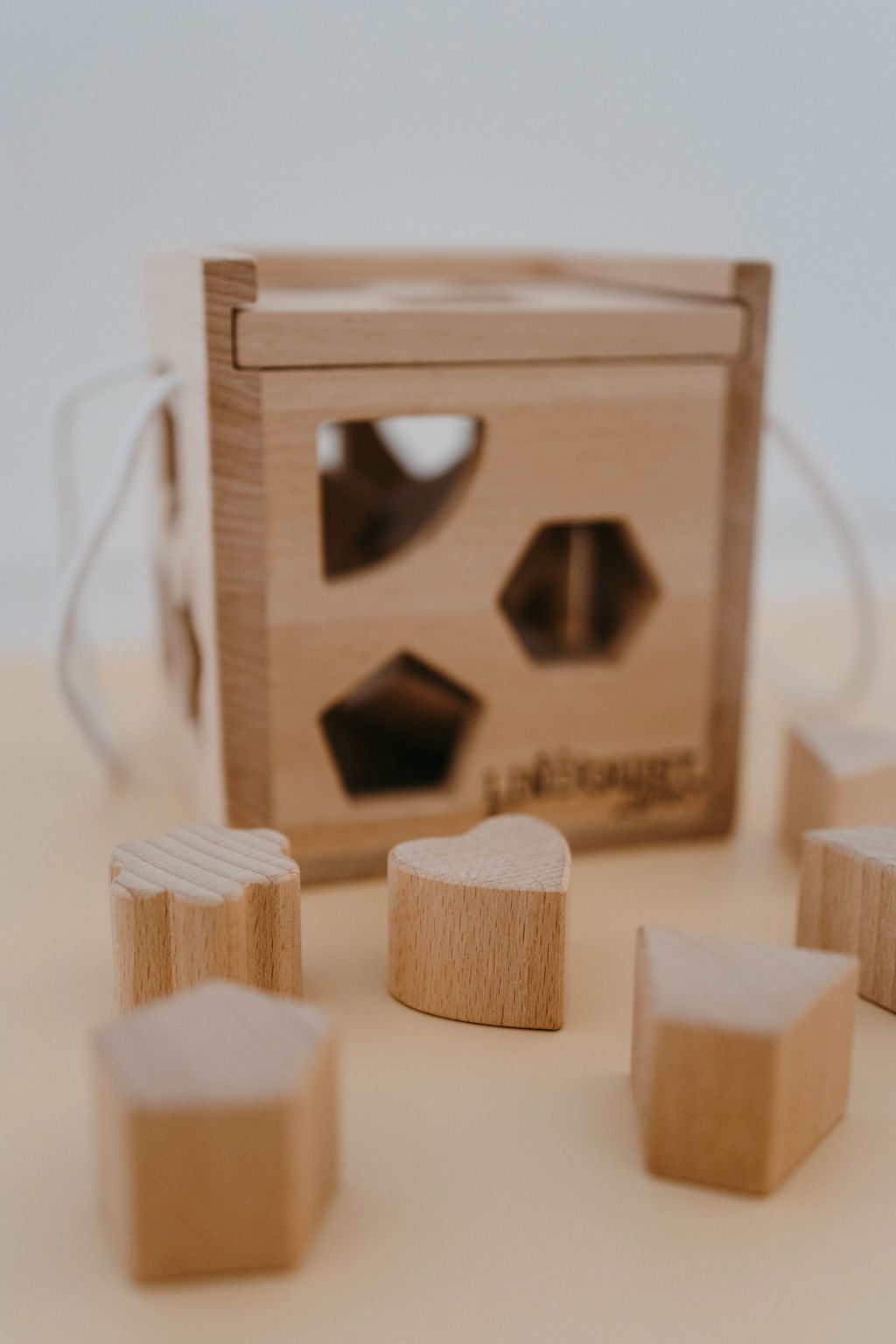 solid-wood-intelligence-shape-sorting-box-Gift-Baby-Toys-3