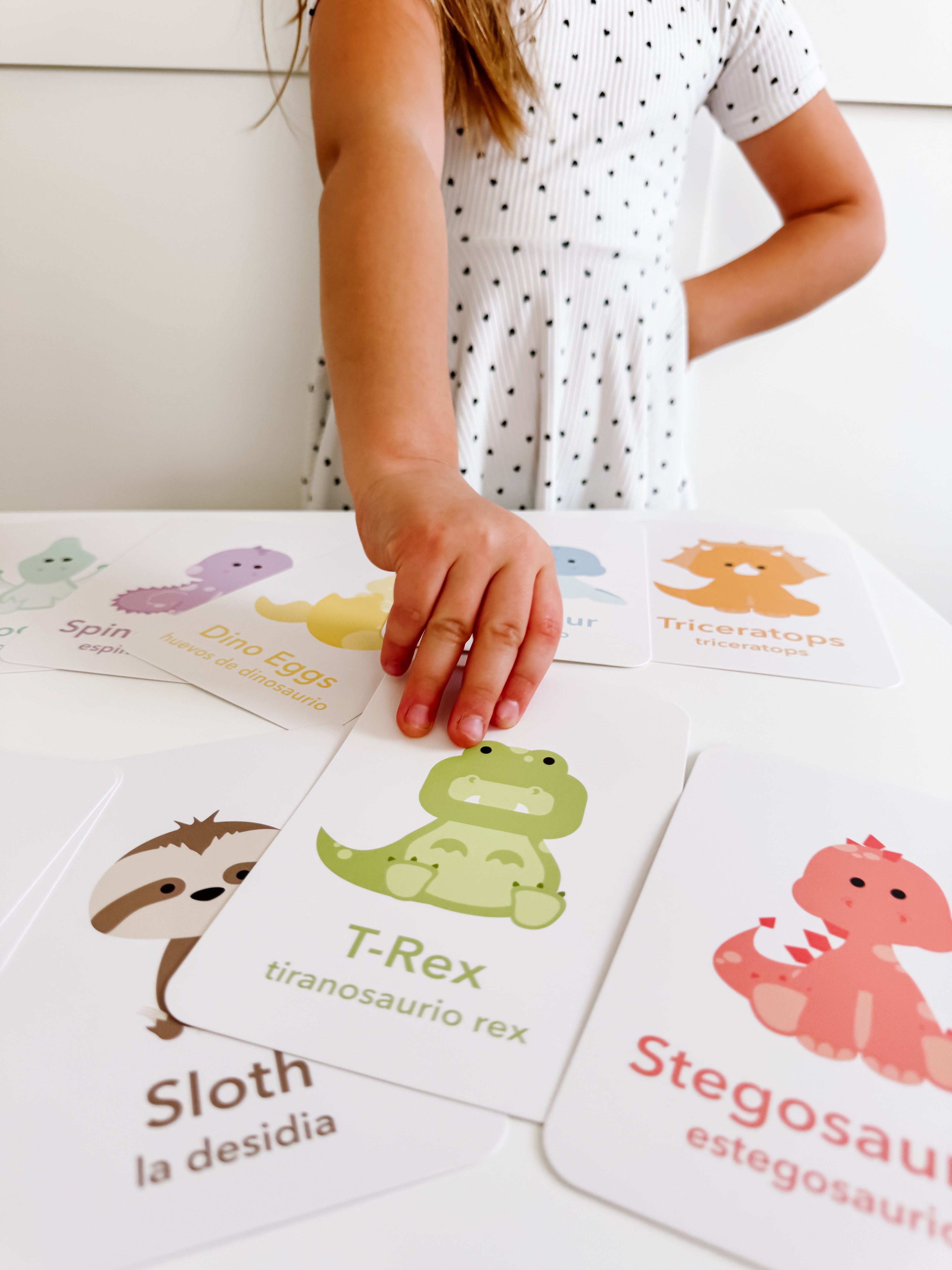 dinosaur-flashcards-Gift-Baby-Toys-11