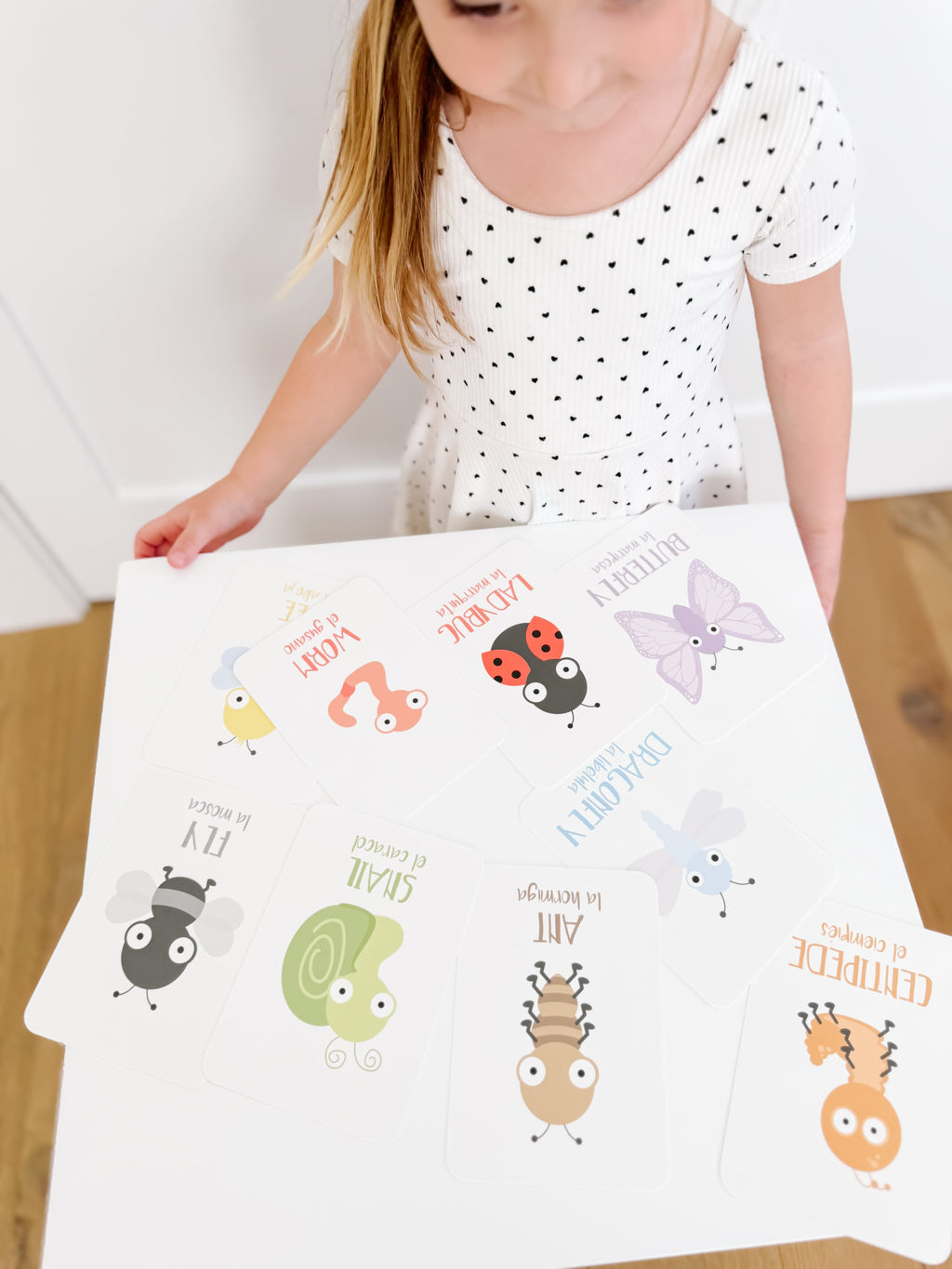 bugs-flashcards-Gift-Baby-Toys-30