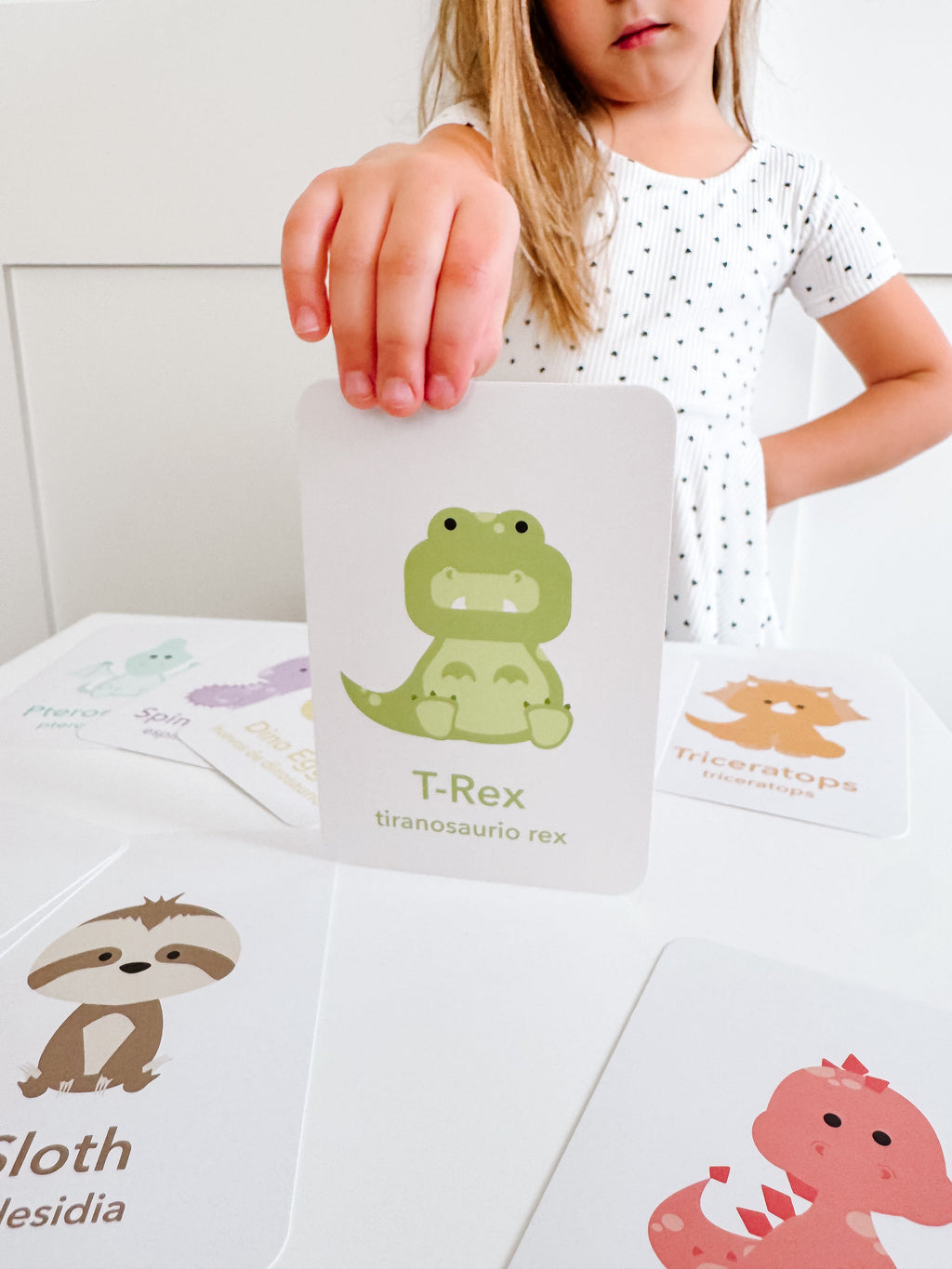 dinosaur-flashcards-Gift-Baby-Toys-10