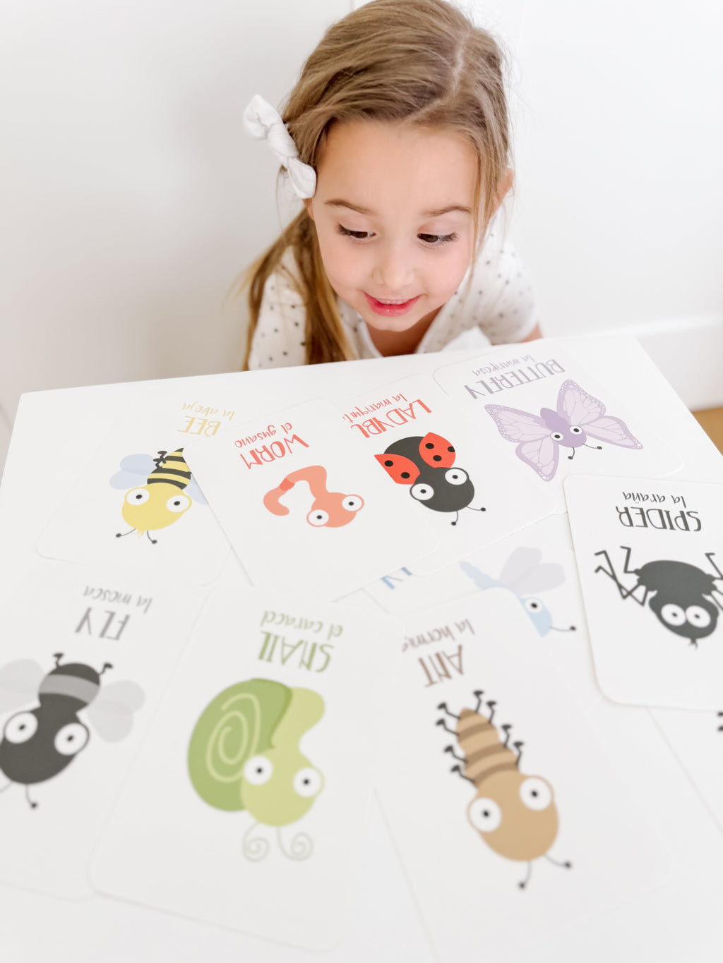bugs-flashcards-Gift-Baby-Toys-28