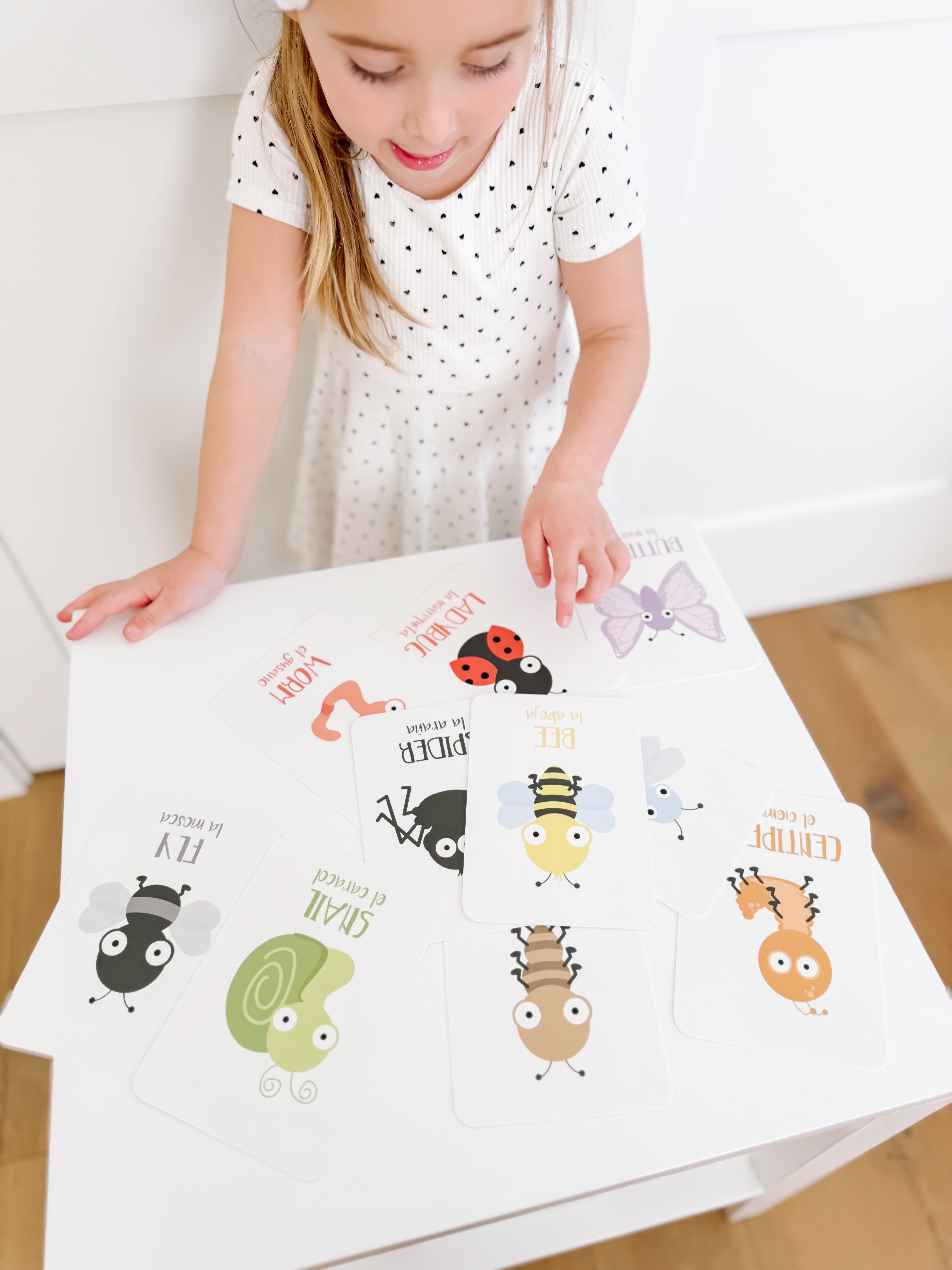bugs-flashcards-Gift-Baby-Toys-2