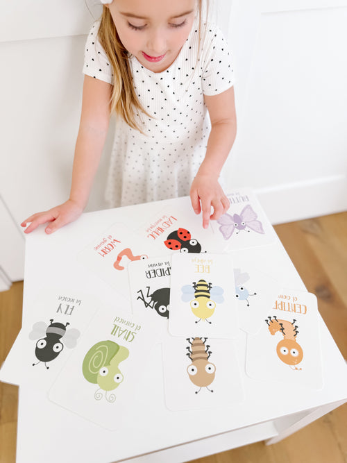 bugs-flashcards-Gift-Baby-Toys-2