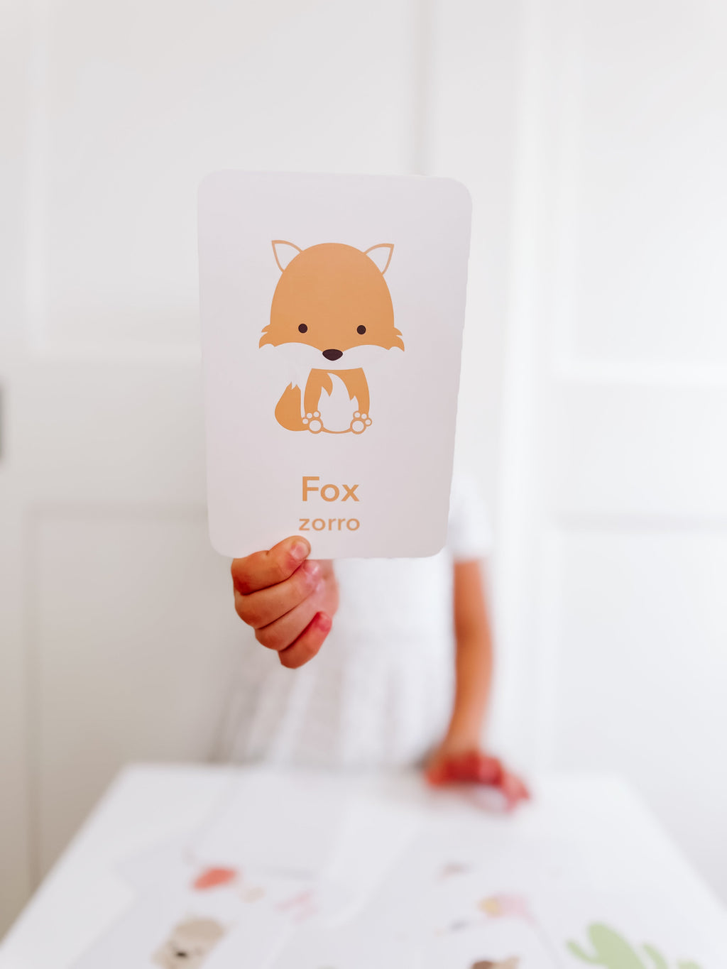 desert-animal-flashcards-Gift-Baby-Toys-7