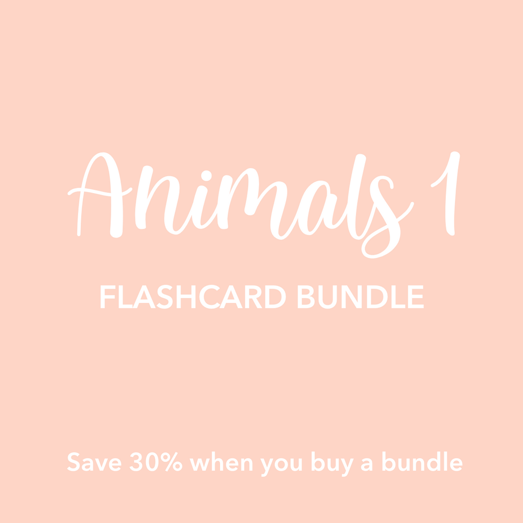 animal-1-flashcards-bundle-Gift-Baby-Toys-2