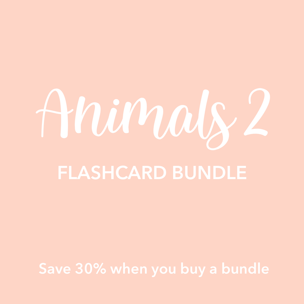 animal-2-flashcards-bundle-Gift-Baby-Toys-2
