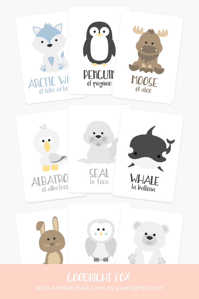 animal-2-flashcards-bundle-Gift-Baby-Toys-3