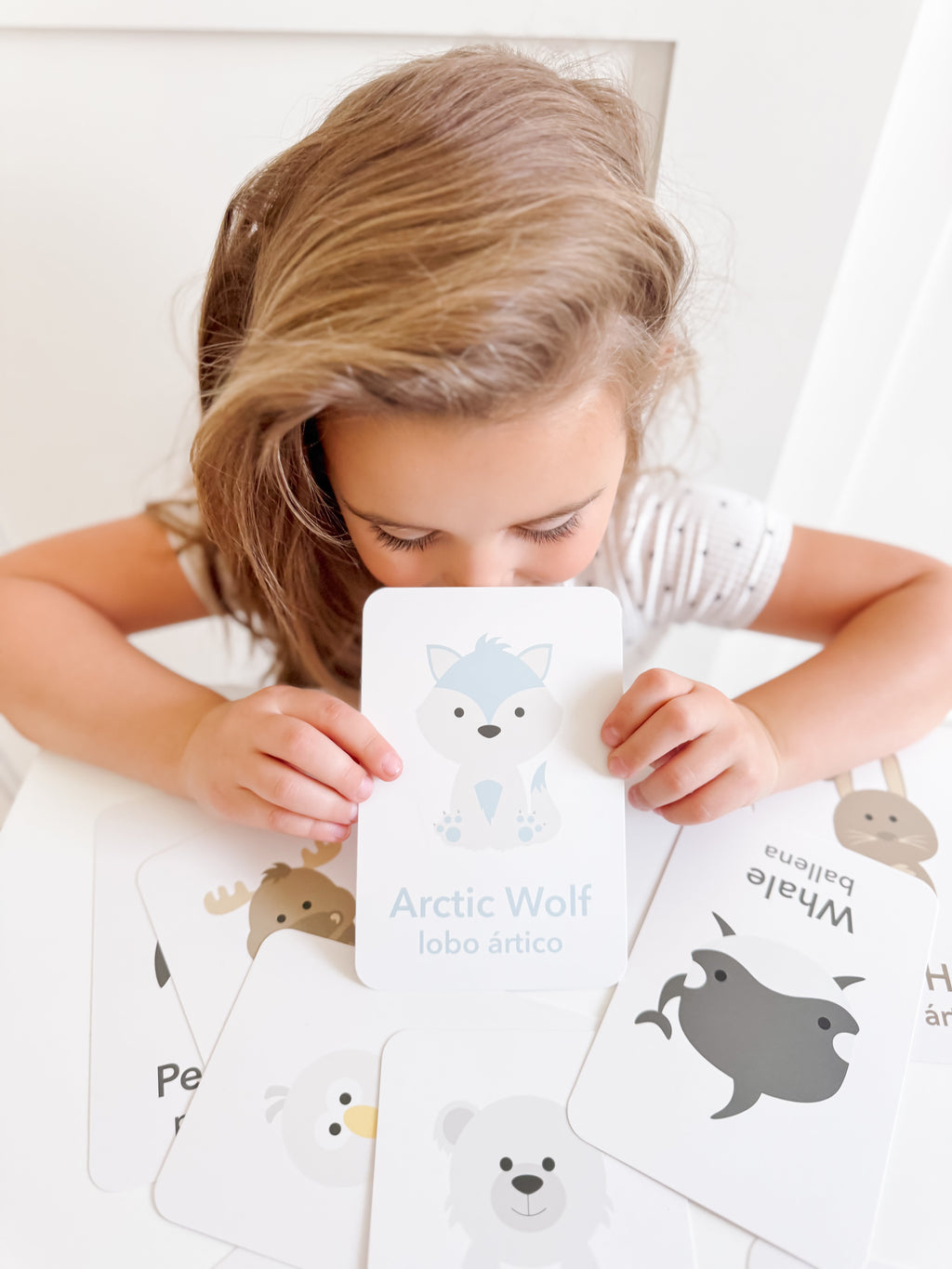 arctic-animals-flashcards-Gift-Baby-Toys-16