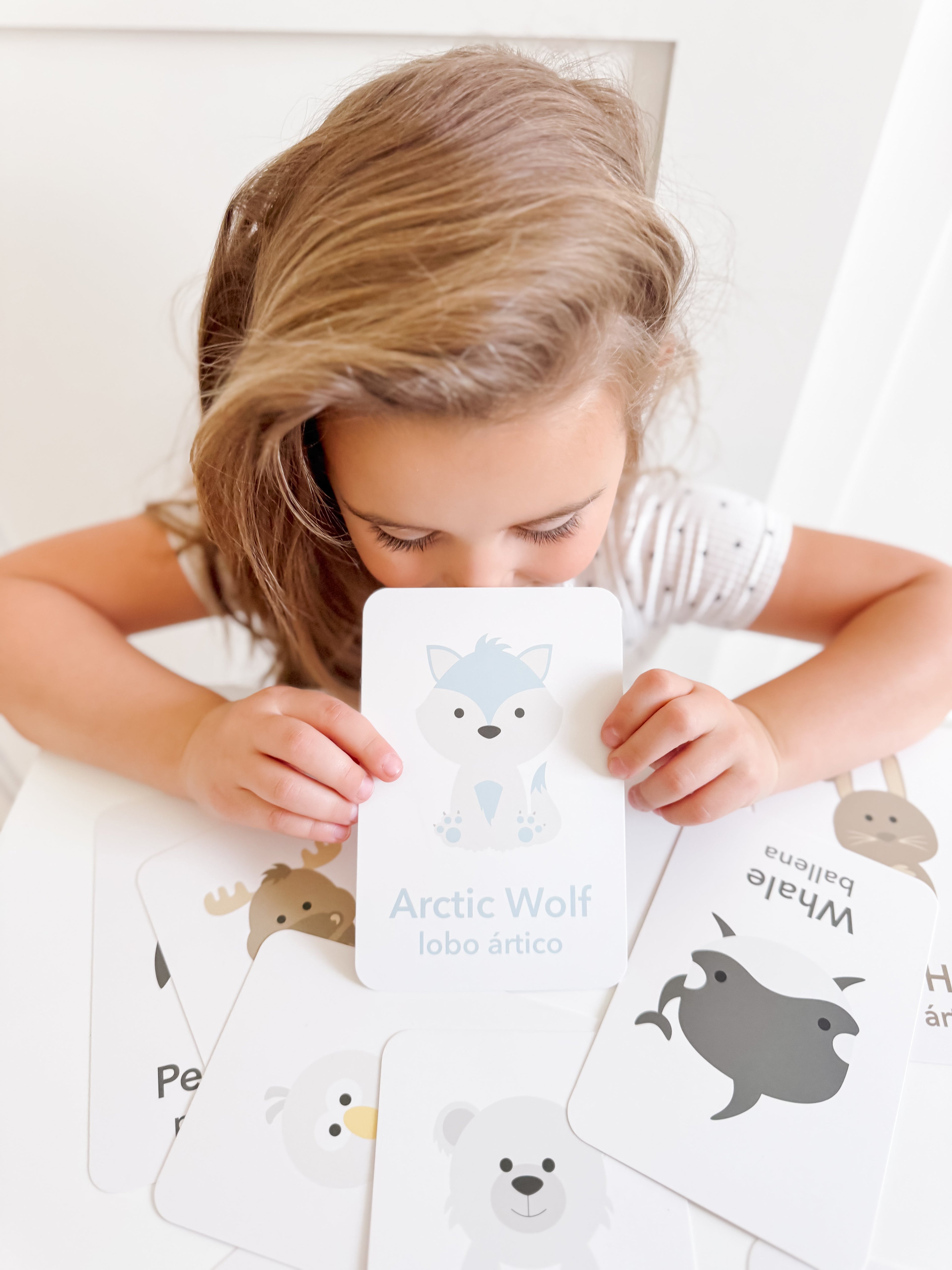 arctic-animals-flashcards-Gift-Baby-Toys-16