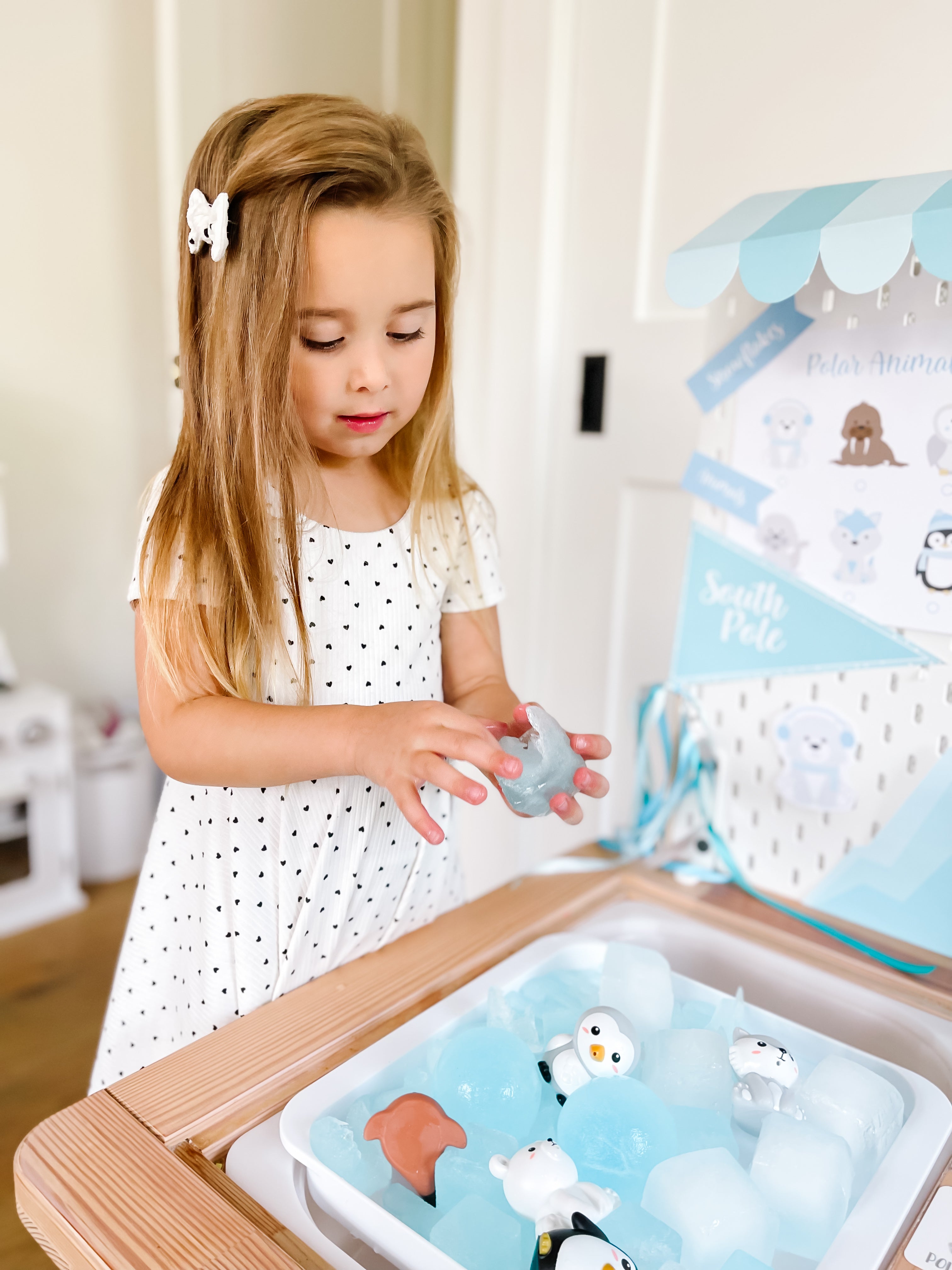 arctic-polar-animals-printable-dramatic-play-Gift-Baby-Toys-60