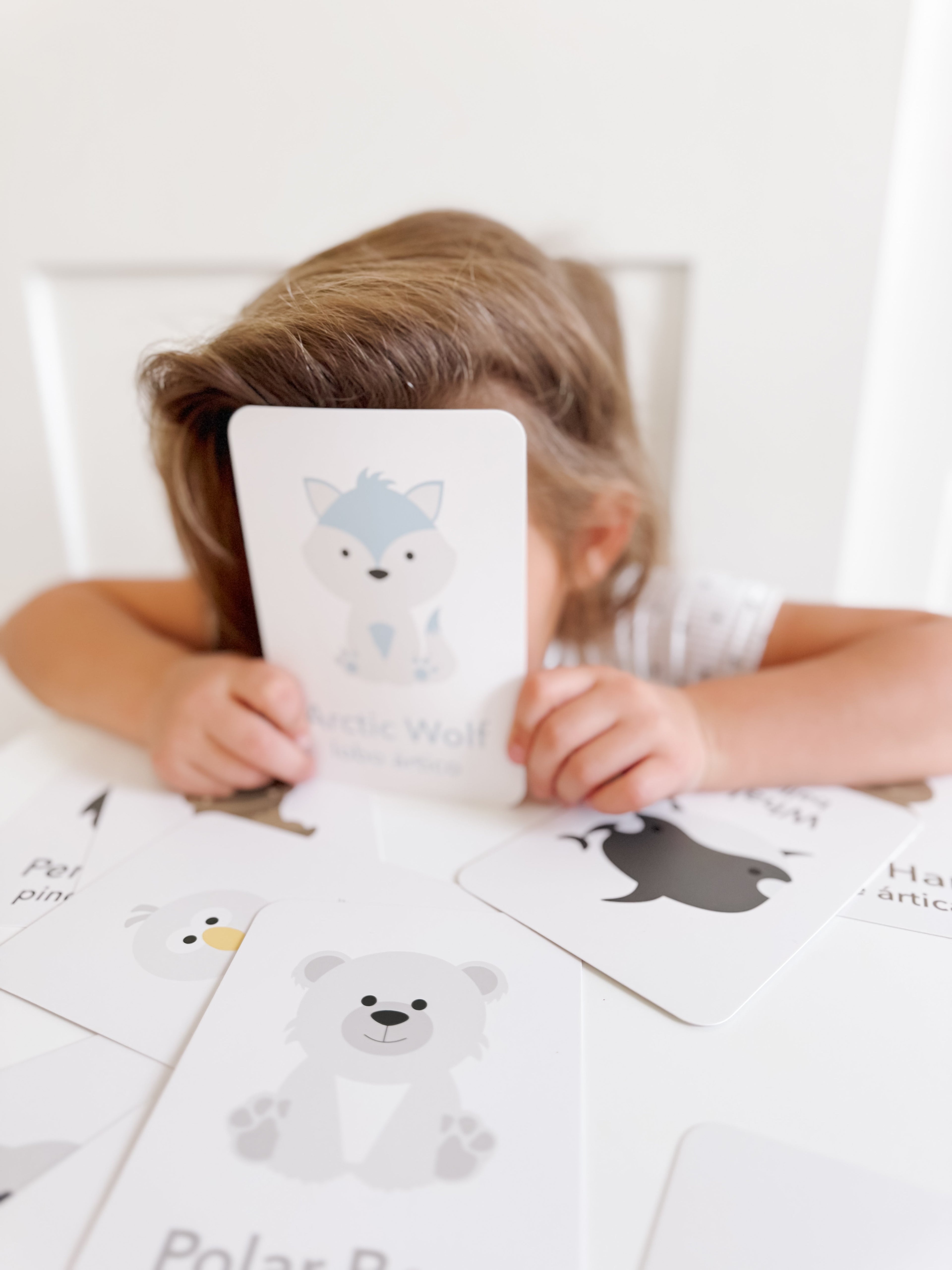 arctic-animals-flashcards-Gift-Baby-Toys-14