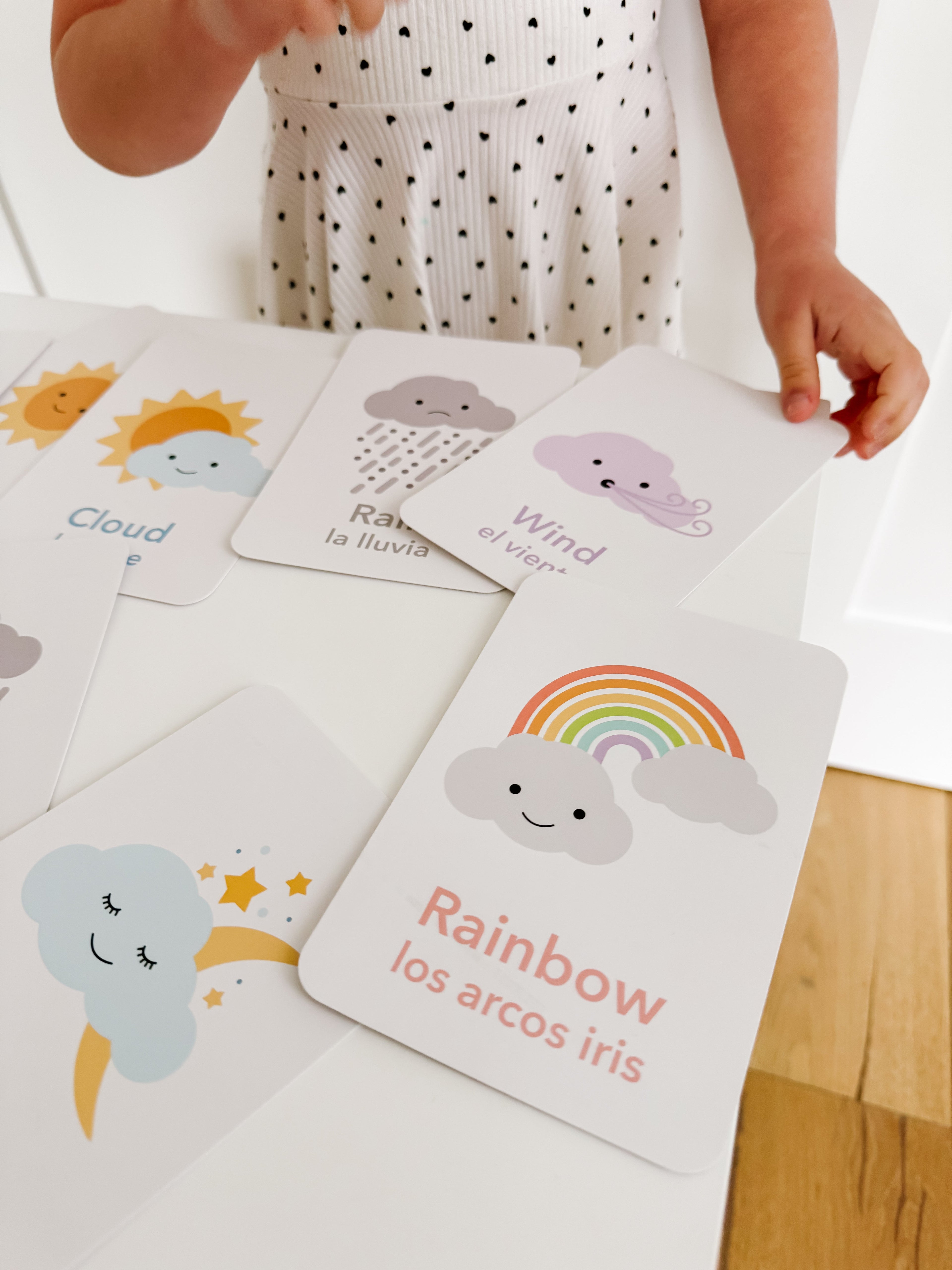 weather-flashcards-Gift-Baby-Toys-19
