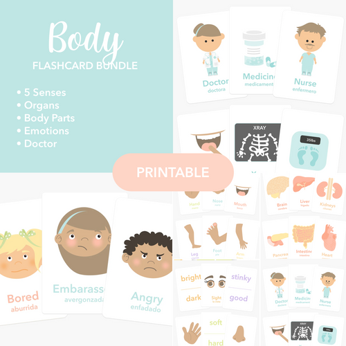 body-flashcards-printable-Gift-Baby-Toys-1