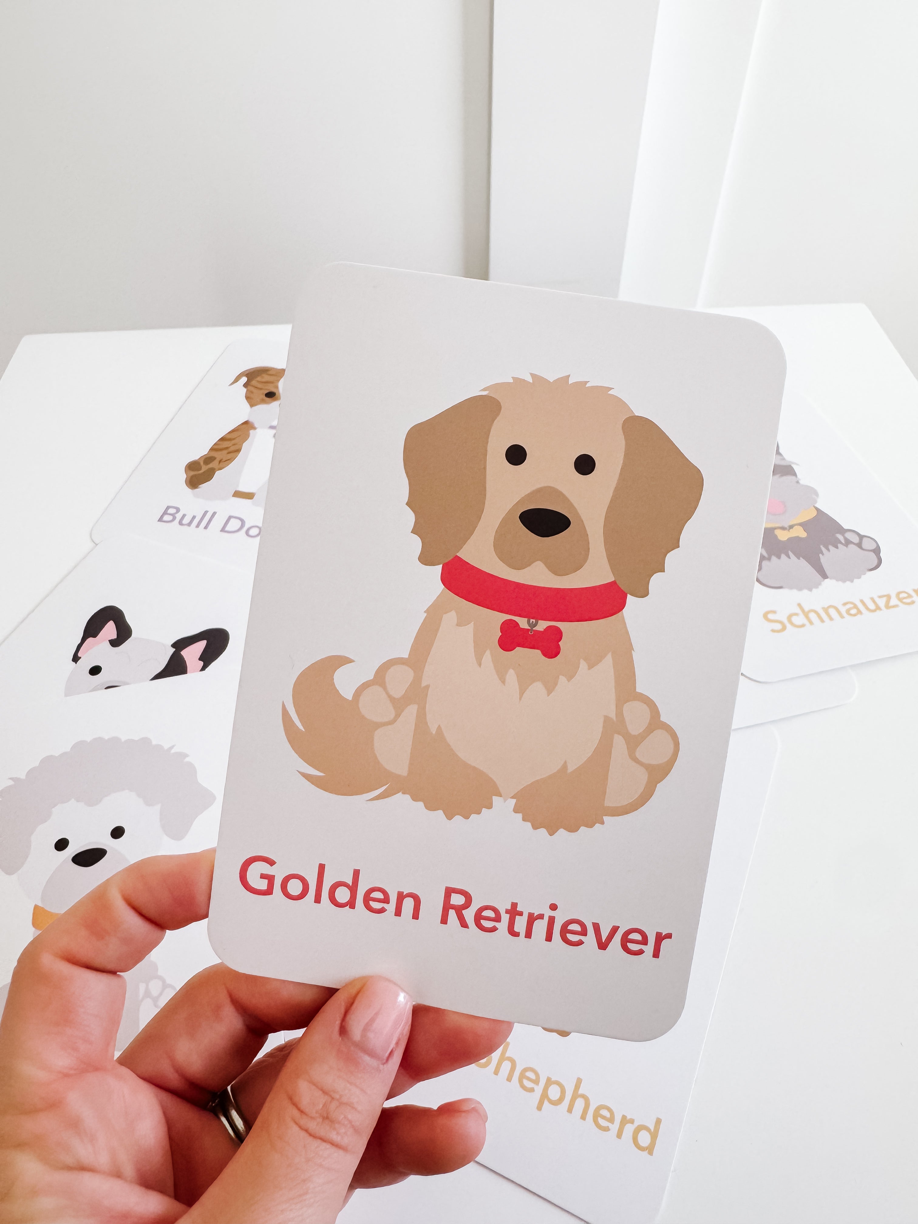 dog-breed-flash-cards-Gift-Baby-Toys-6