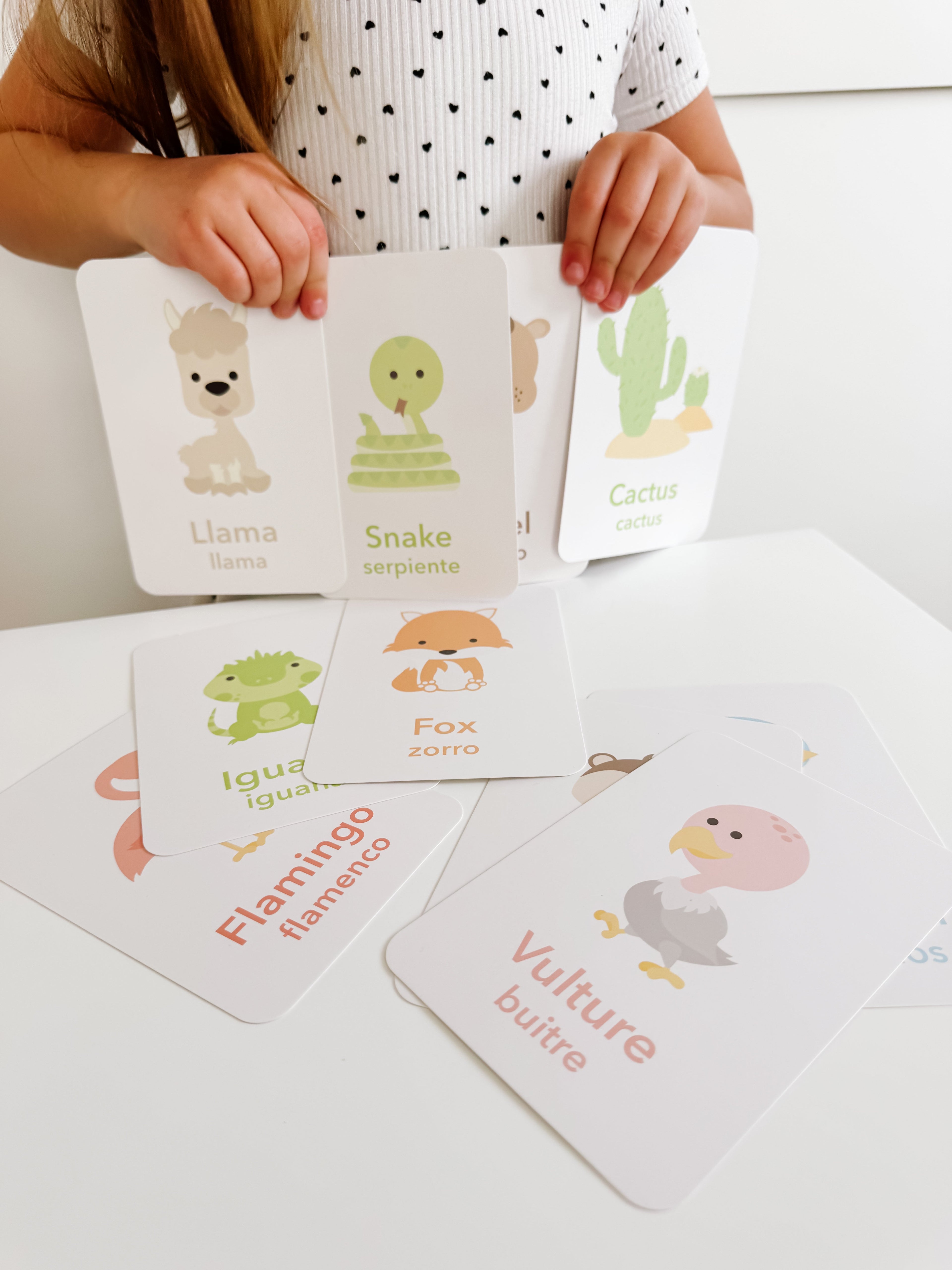 desert-animal-flashcards-Gift-Baby-Toys-12
