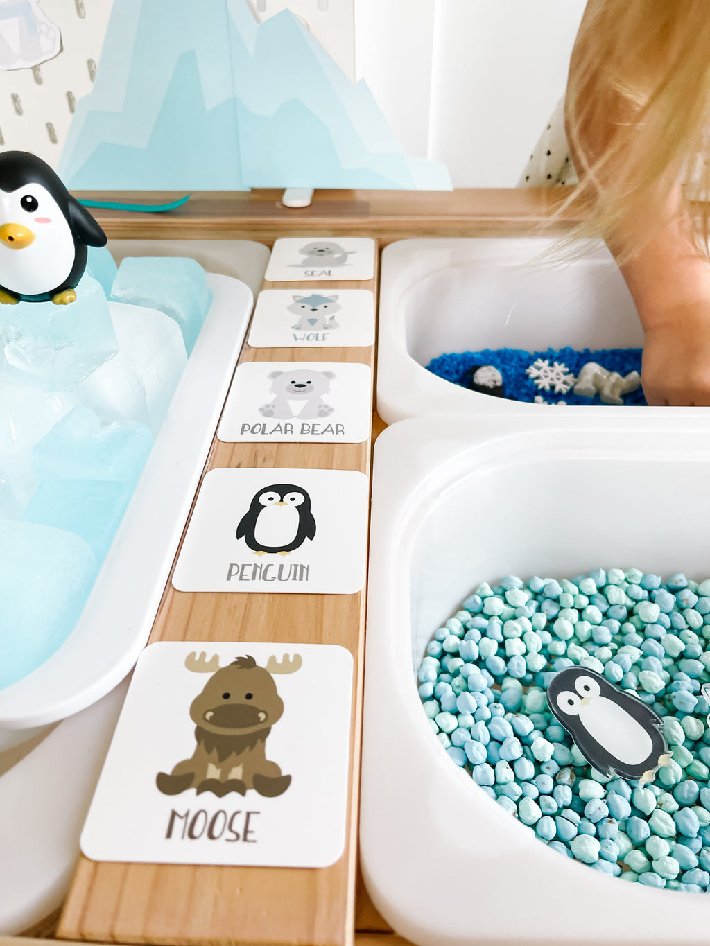 arctic-polar-animals-printable-dramatic-play-Gift-Baby-Toys-48