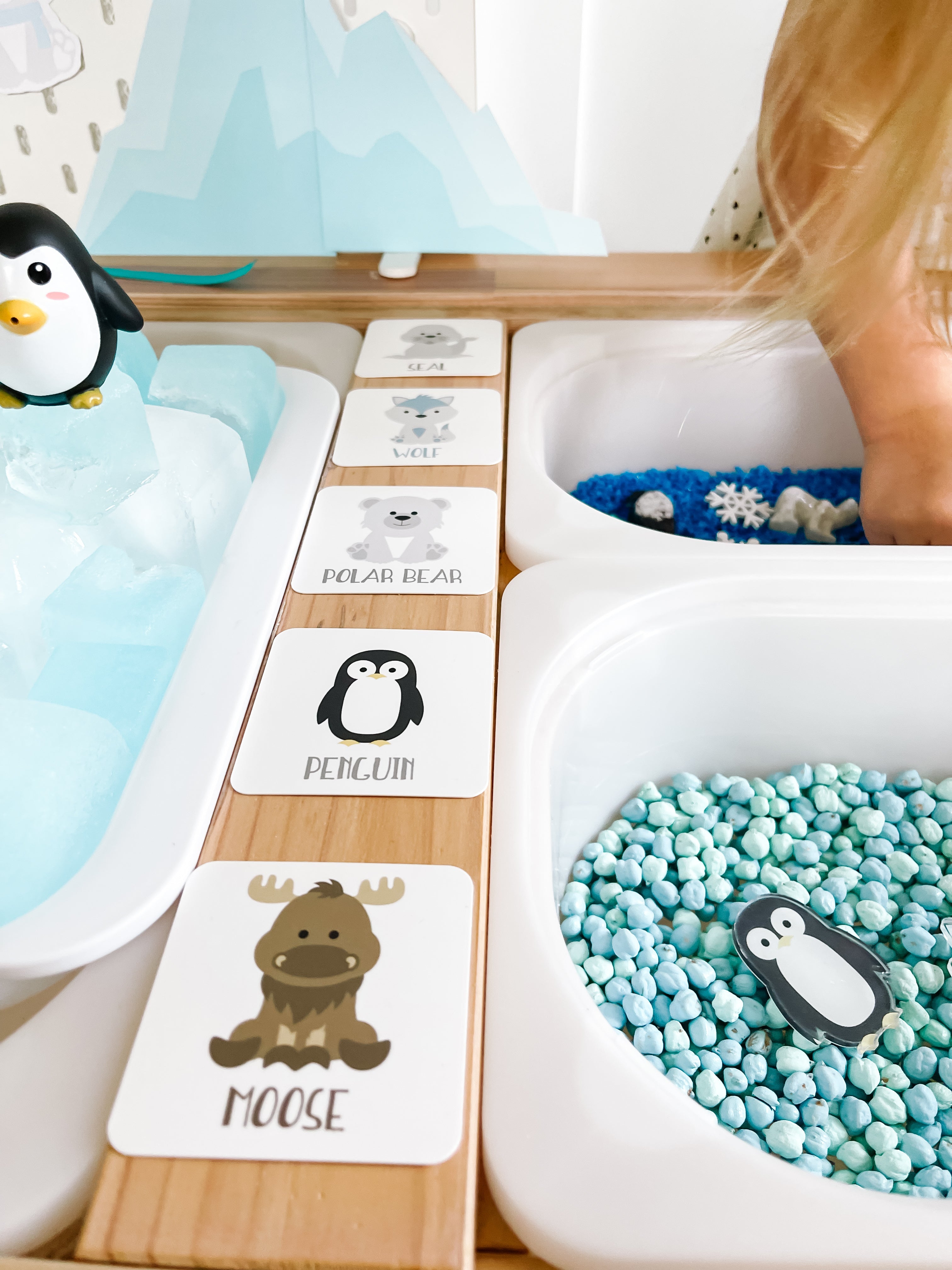 arctic-polar-animals-printable-dramatic-play-Gift-Baby-Toys-48