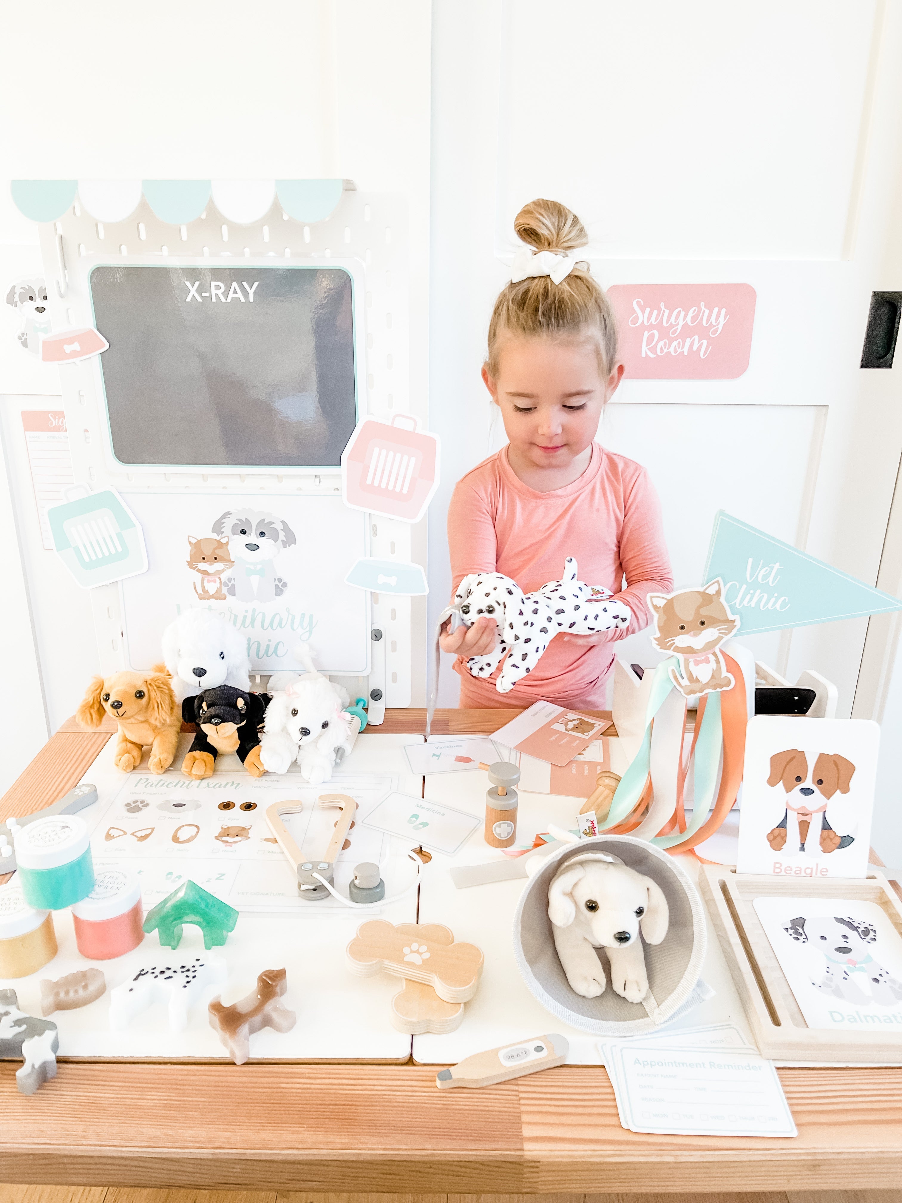 vet-clinic-dramatic-play-Gift-Baby-Toys-14
