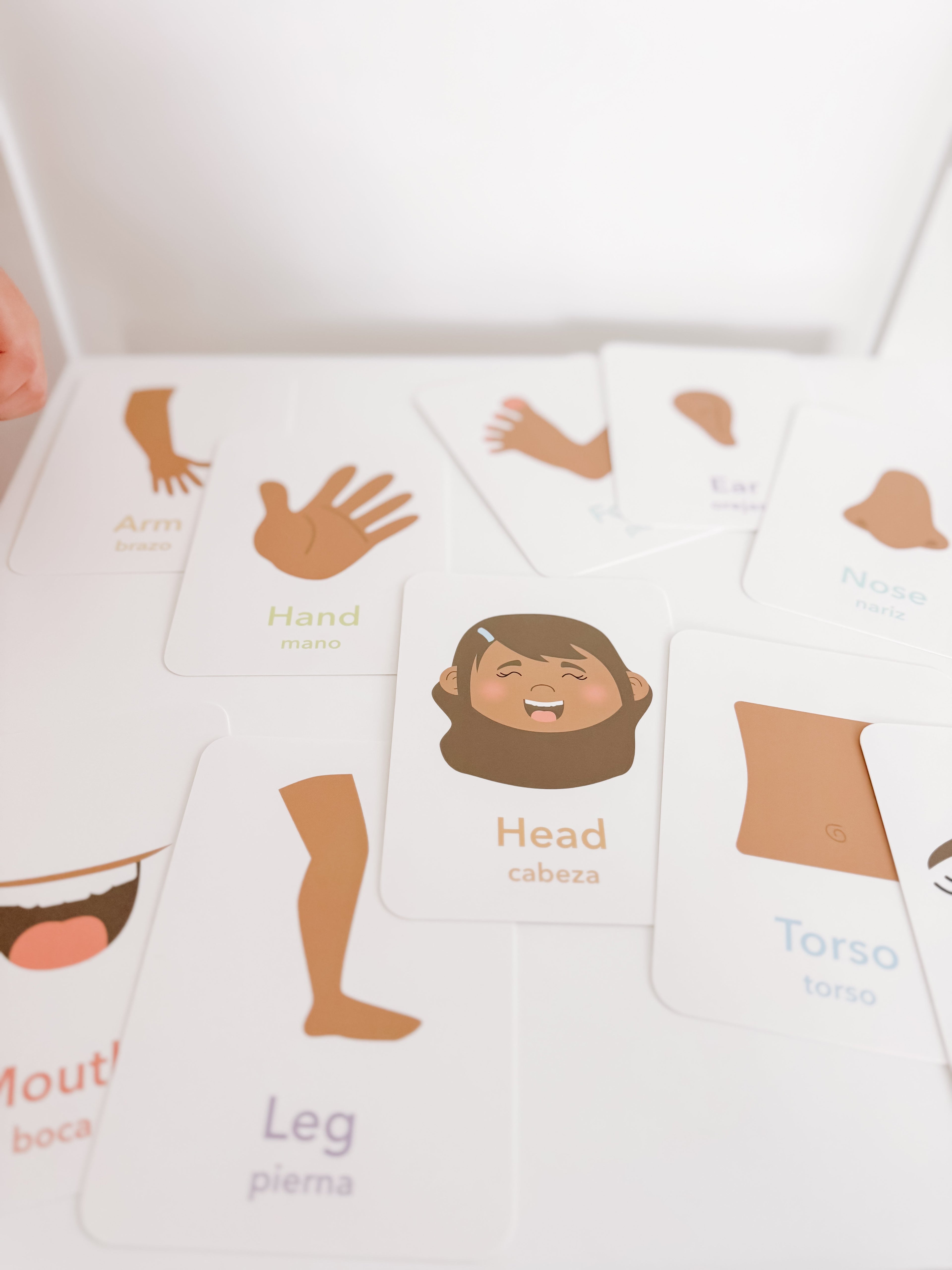 body-parts-flashcards-Gift-Baby-Toys-10