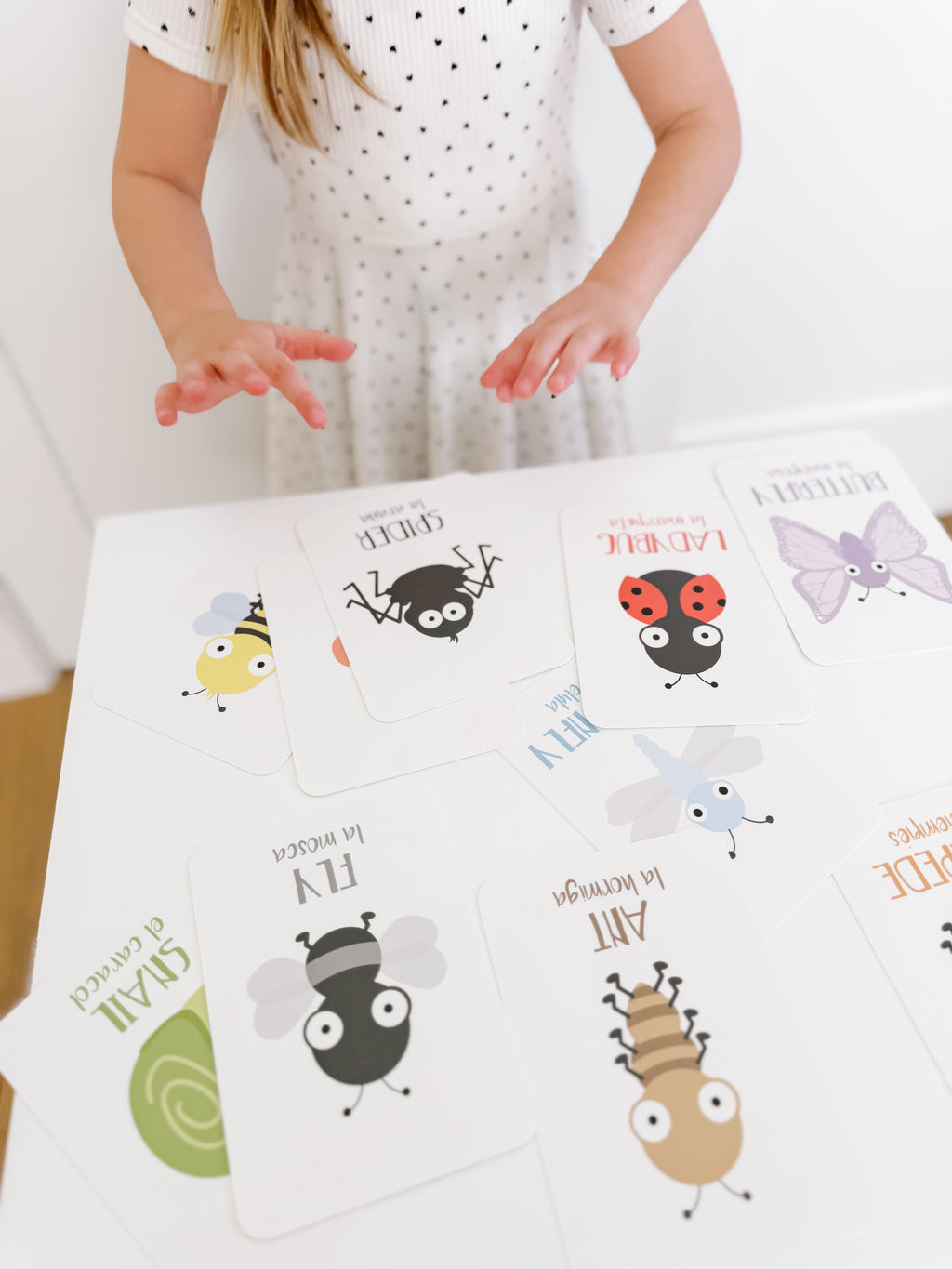 bugs-flashcards-Gift-Baby-Toys-31