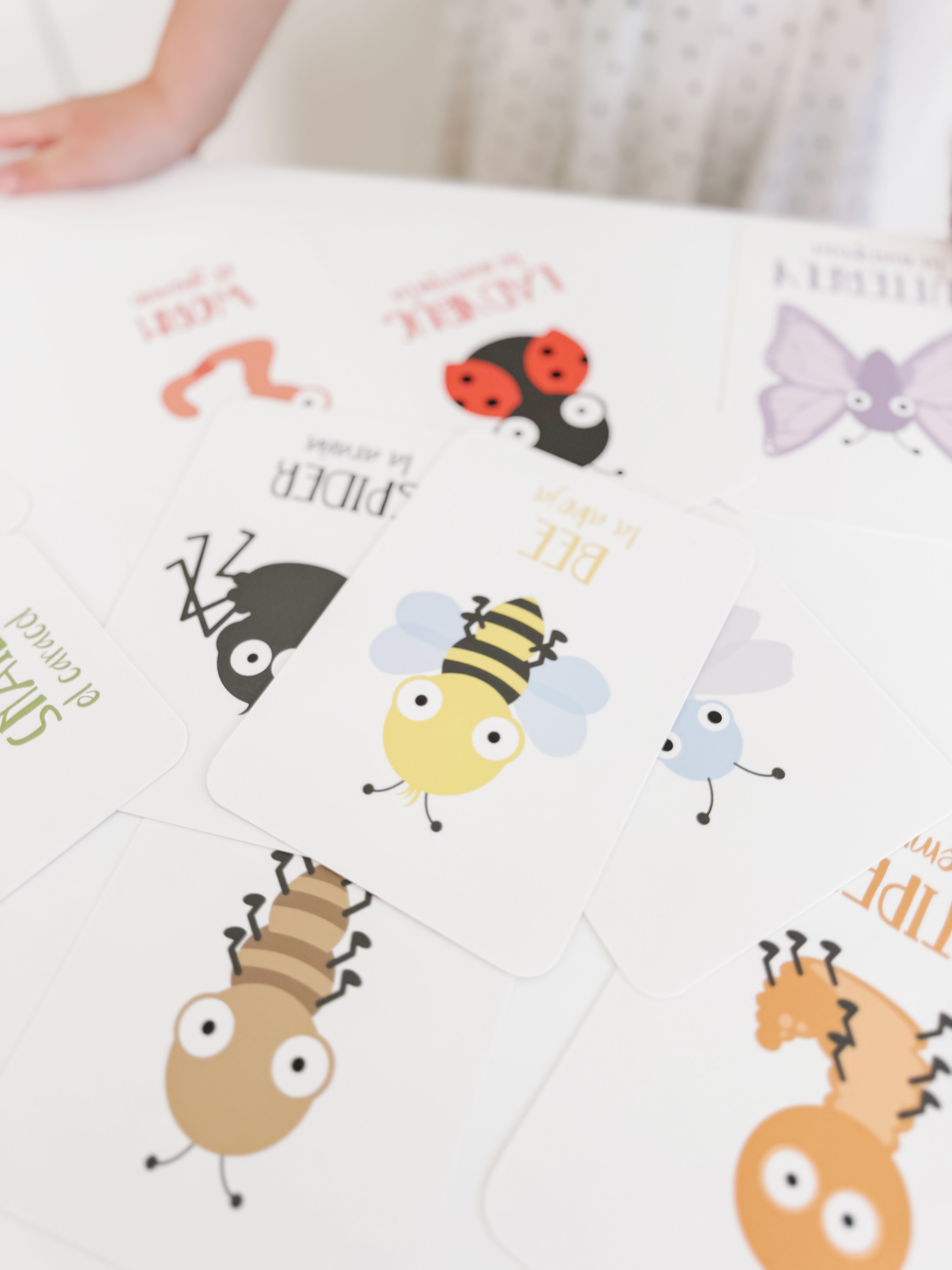 bugs-flashcards-Gift-Baby-Toys-15
