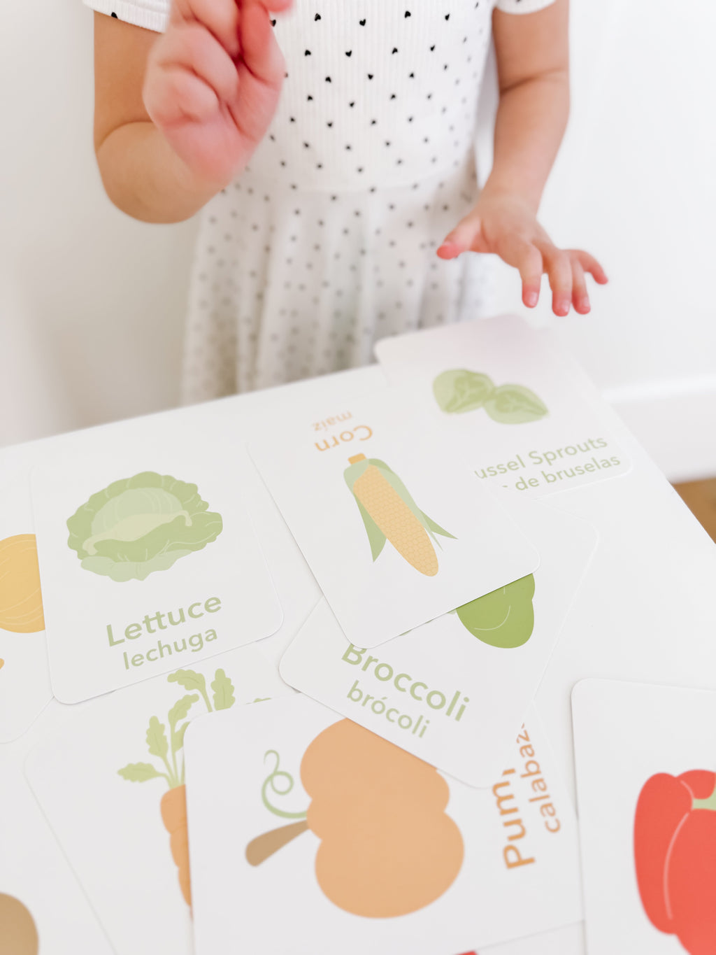 vegetable-flashcards-Gift-Baby-Toys-18