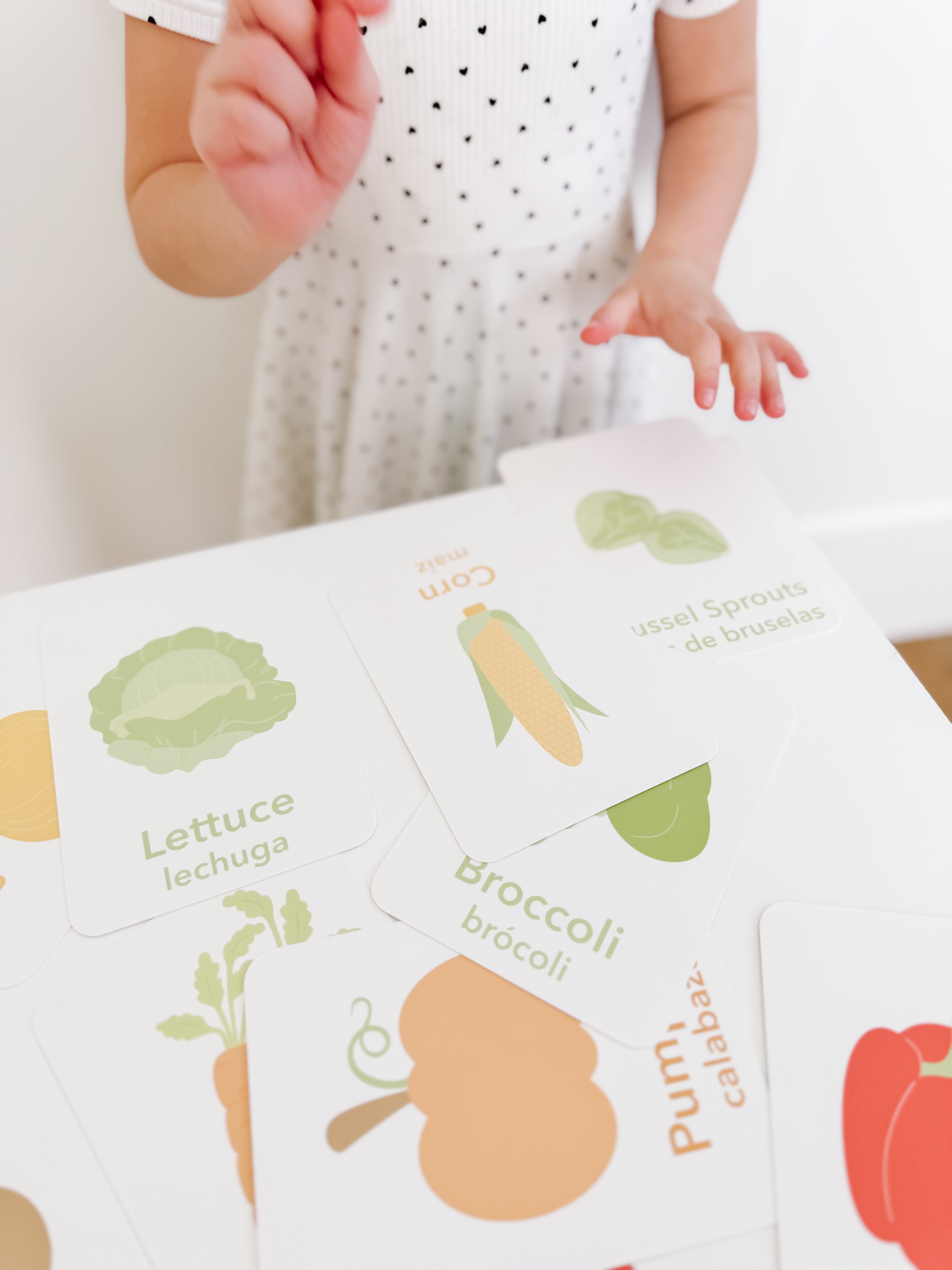 vegetable-flashcards-Gift-Baby-Toys-18